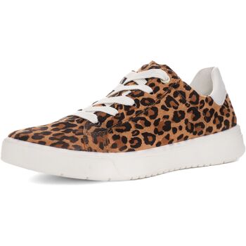 Ara  Sneaker Sneaker günstig online kaufen