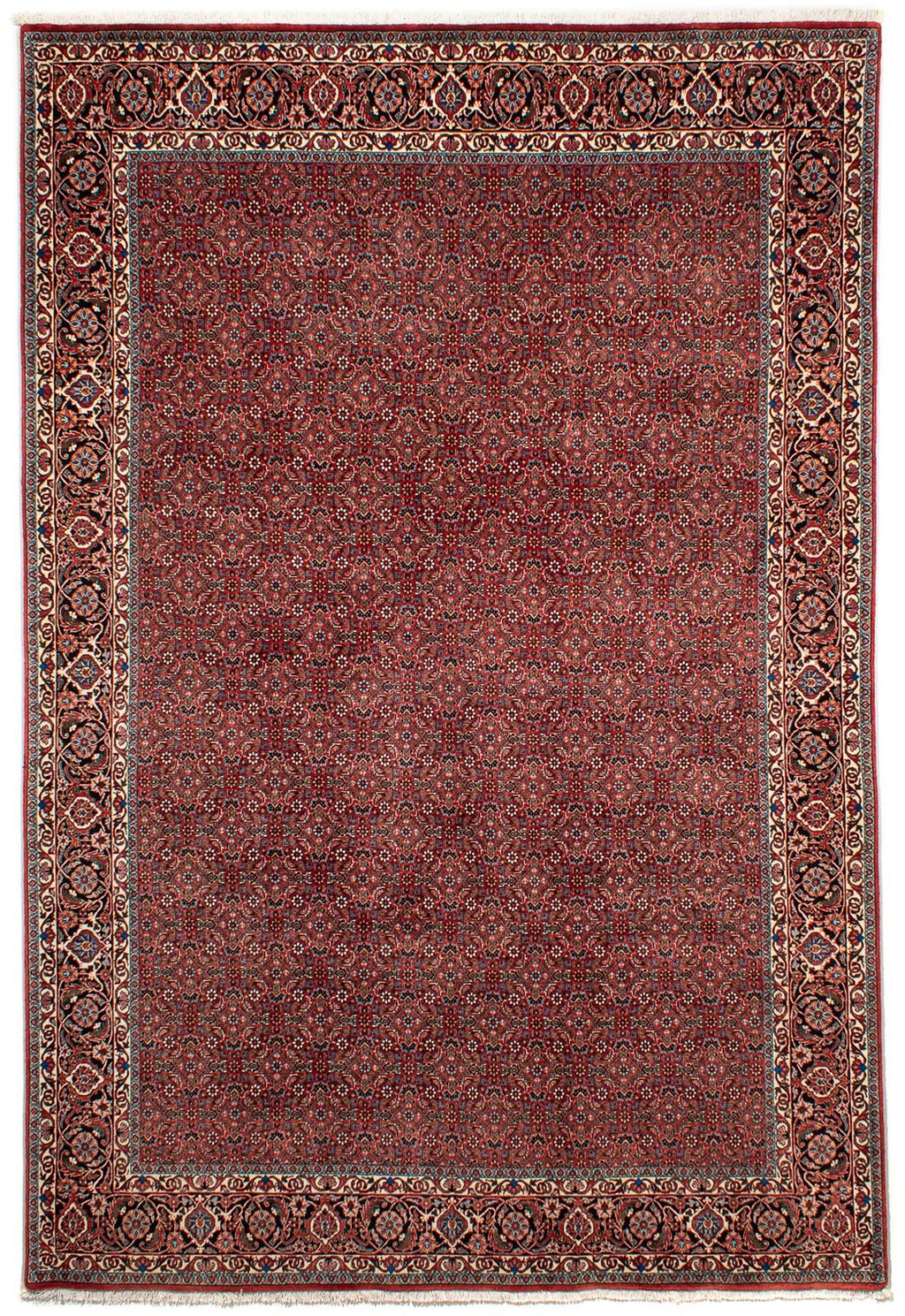 morgenland Orientteppich »Perser - Bidjar - 299 x 202 cm - dunkelrot«, rech günstig online kaufen