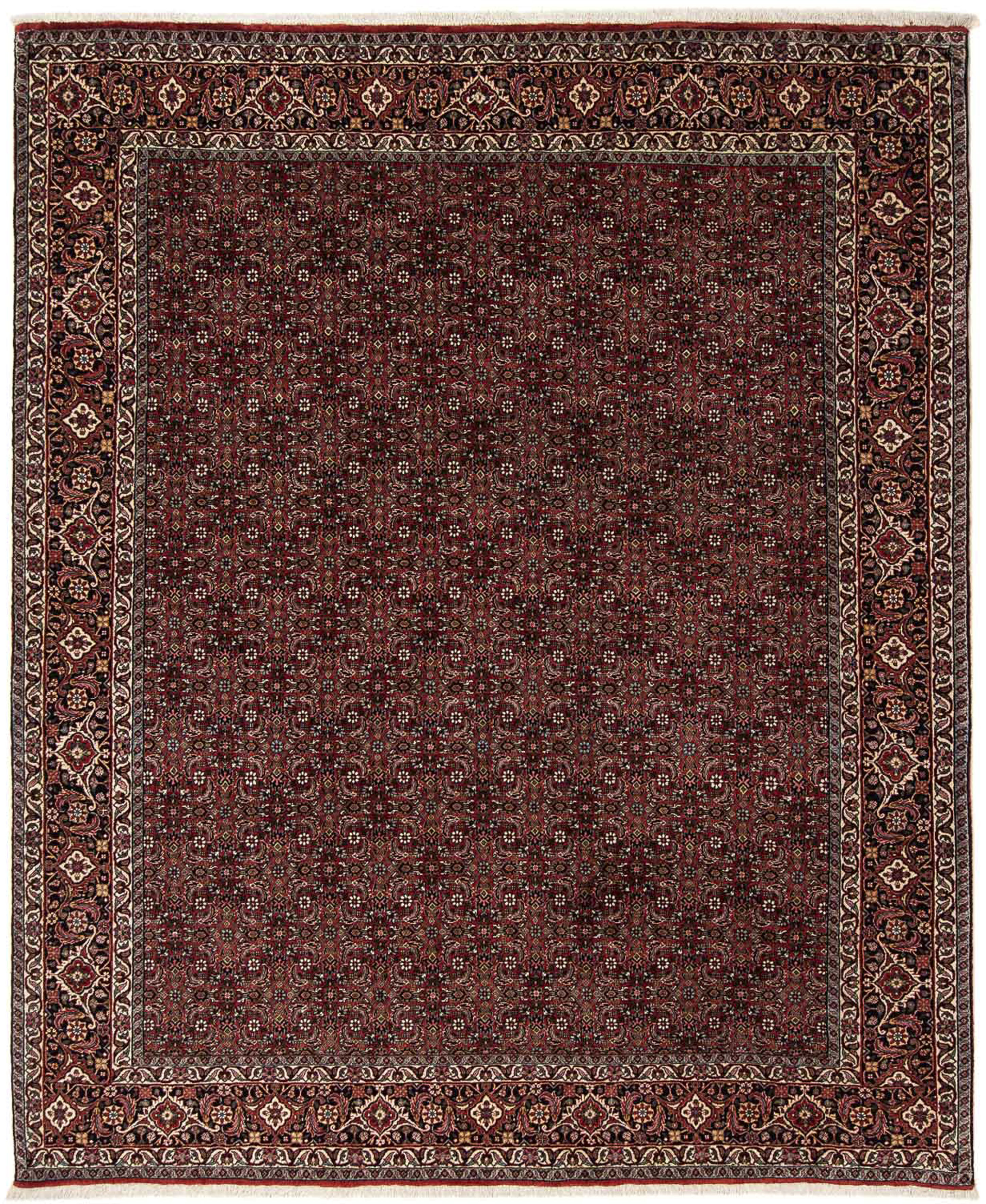 morgenland Orientteppich »Perser - Bidjar - 242 x 202 cm - dunkelrot«, rech günstig online kaufen