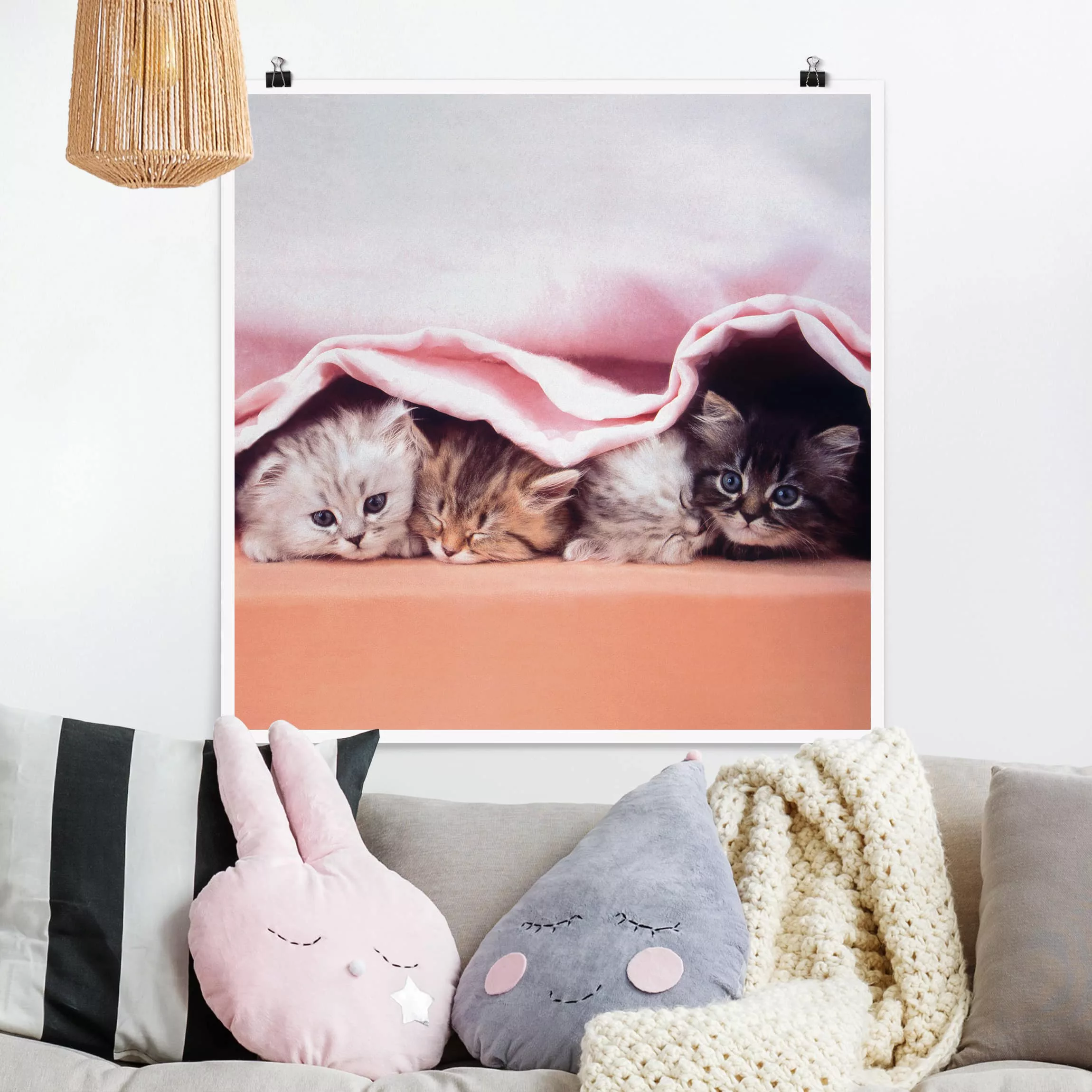 Poster Tiere - Quadrat Sugar-Sweet günstig online kaufen