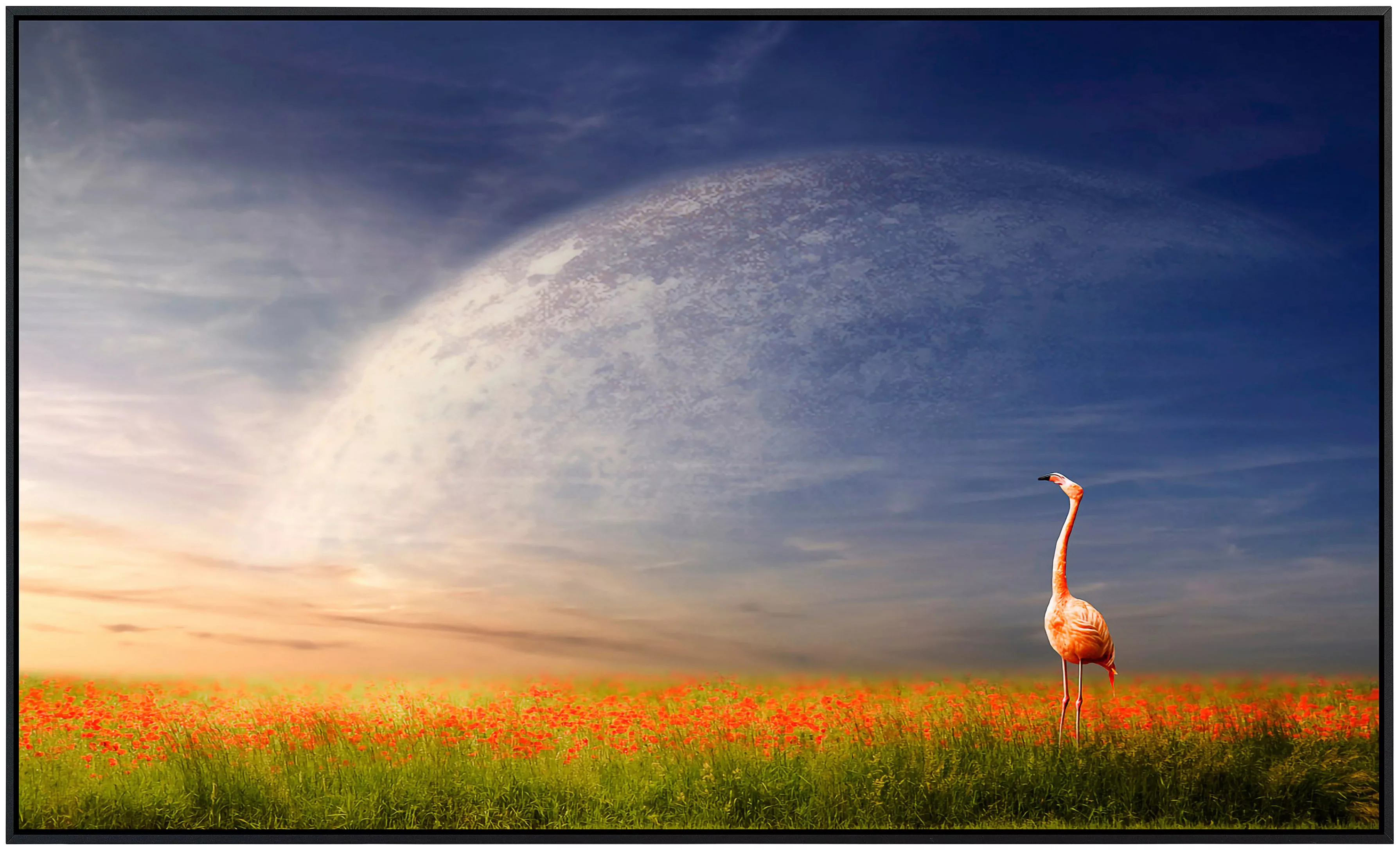 Papermoon Infrarotheizung »Flamingo in Blumenwiese«, sehr angenehme Strahlu günstig online kaufen