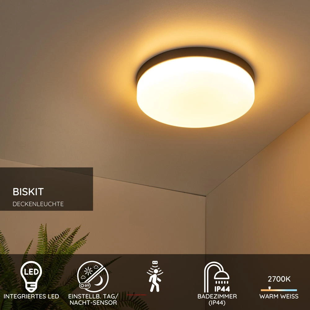 LED Deckenleuchte Biskit in Schwarz 24W 1500lm IP44 345mm günstig online kaufen