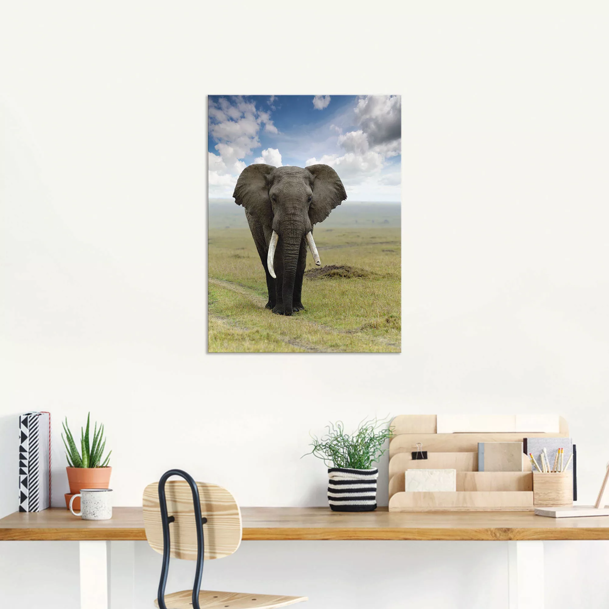 Artland Wandbild "Elefant", Wildtiere, (1 St.), als Alubild, Outdoorbild, L günstig online kaufen