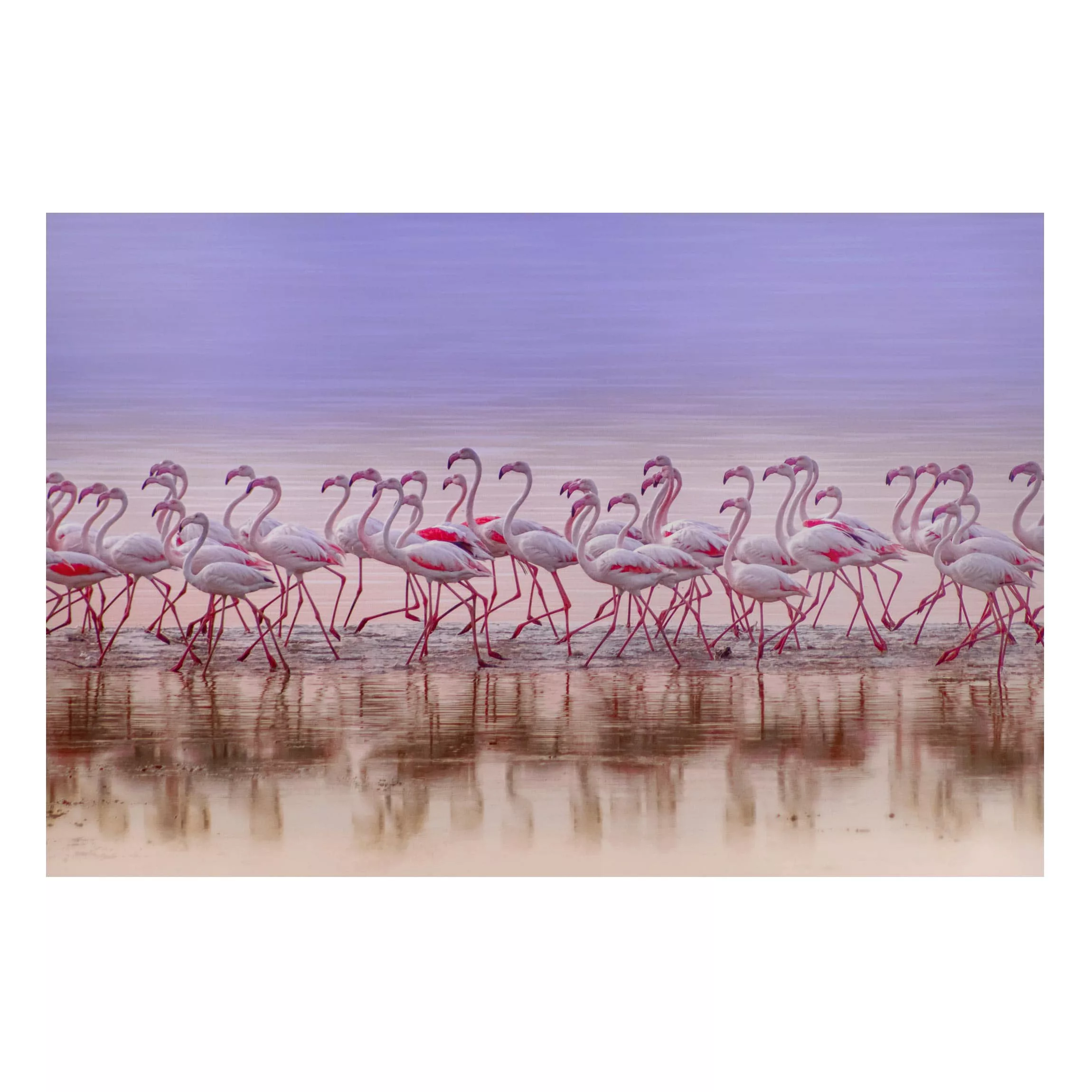 Magnettafel Tiere - Querformat 3:2 Flamingo Party günstig online kaufen
