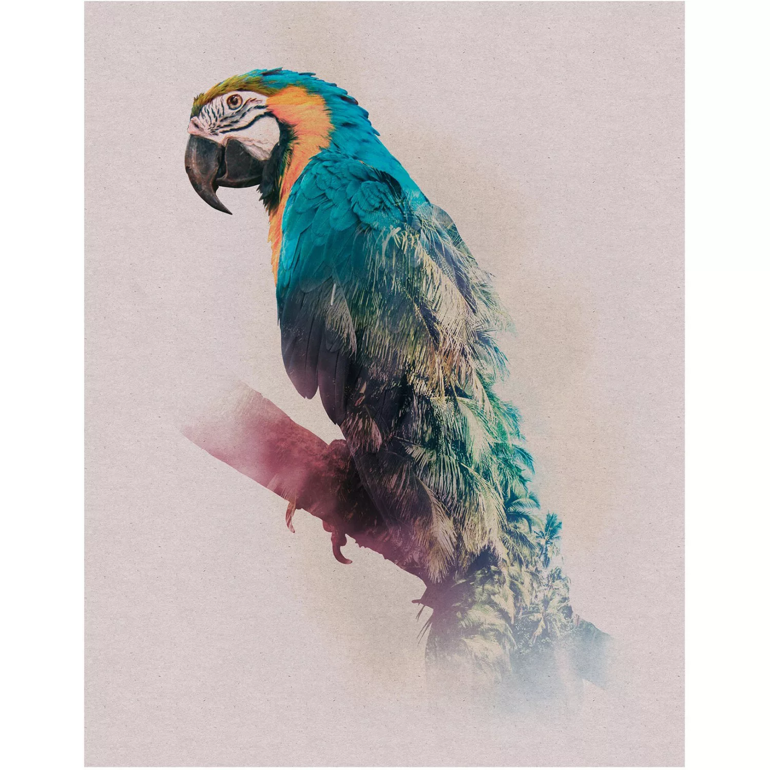 Komar Poster "Animals Paradise Parrot", Tiere, (1 St.), Kinderzimmer, Schla günstig online kaufen