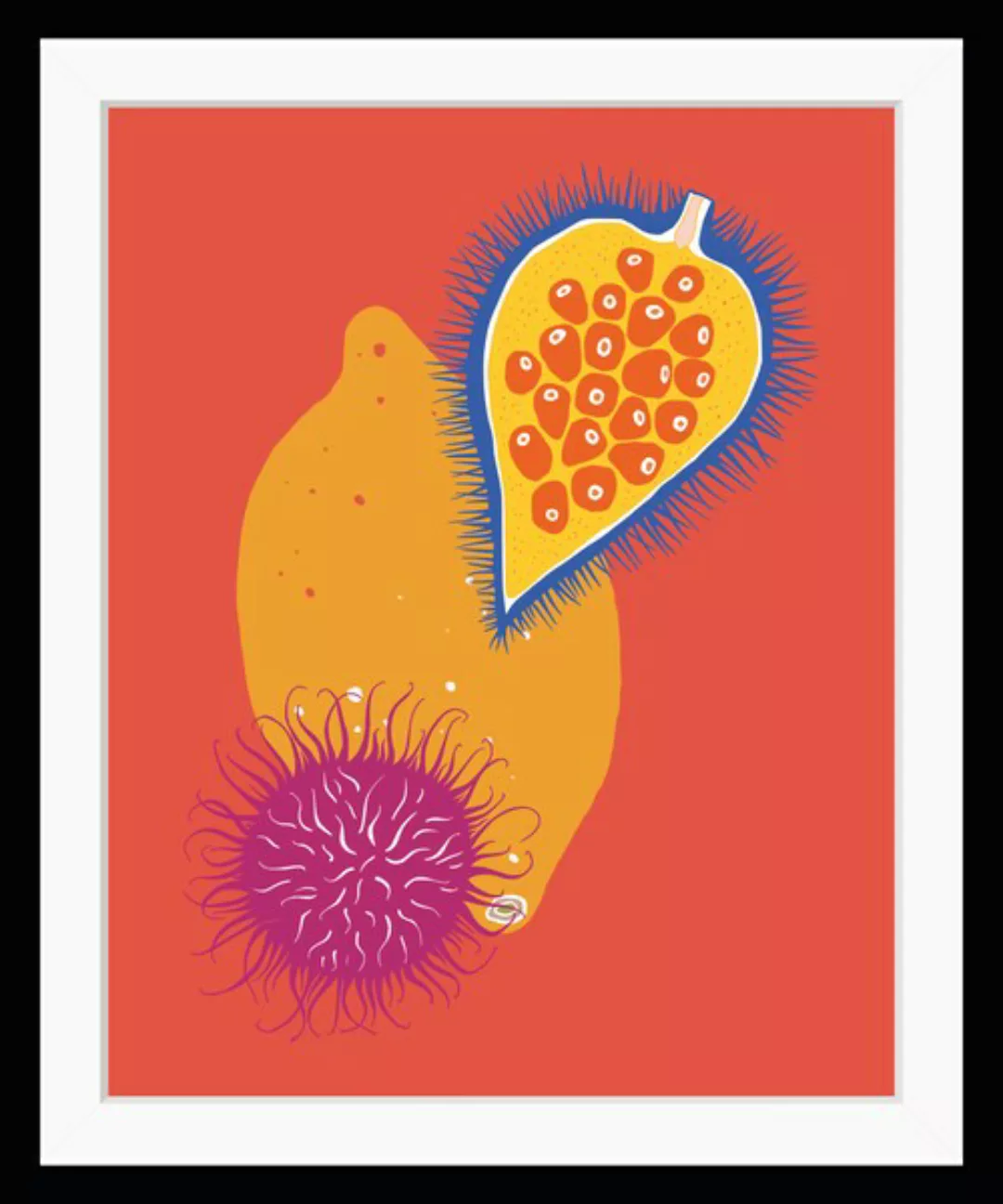 queence Bild »Daria«, Obst-Obst Bilder-Kunst-Lebensmittel, HD Premium Poste günstig online kaufen