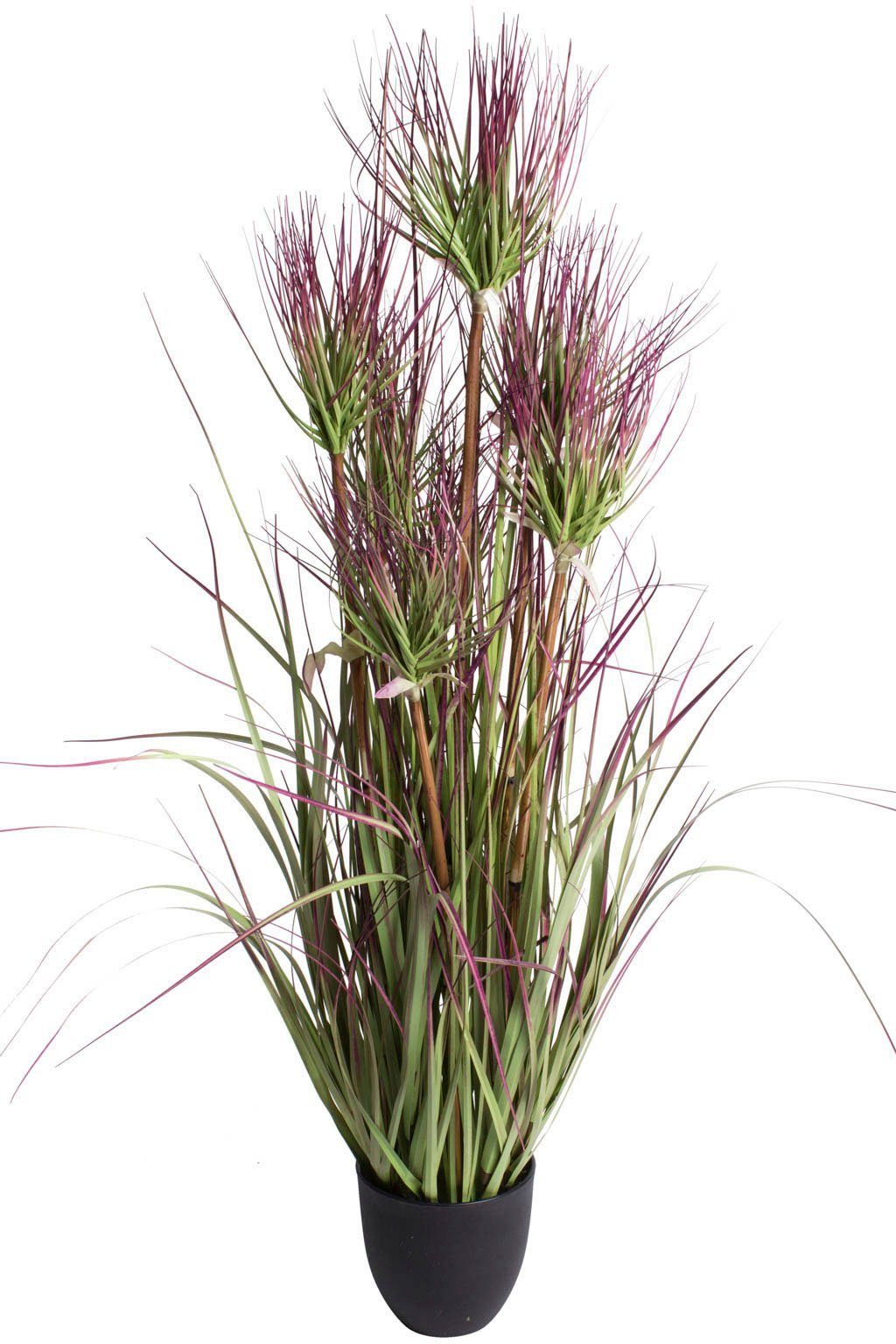 Botanic-Haus Kunstgras "Zyperngrasbusch" günstig online kaufen