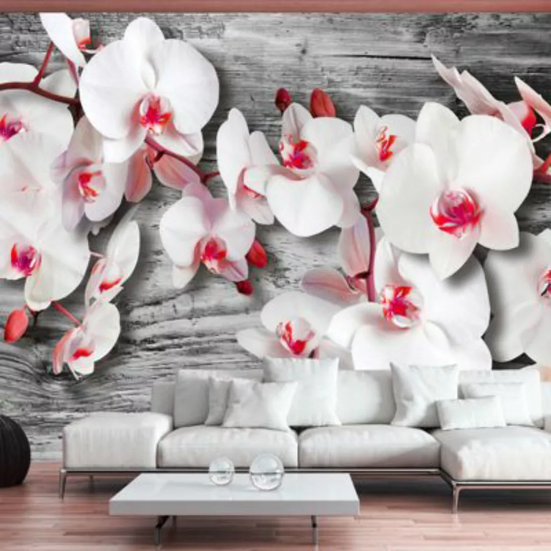 artgeist Fototapete Callous orchids mehrfarbig Gr. 300 x 210 günstig online kaufen