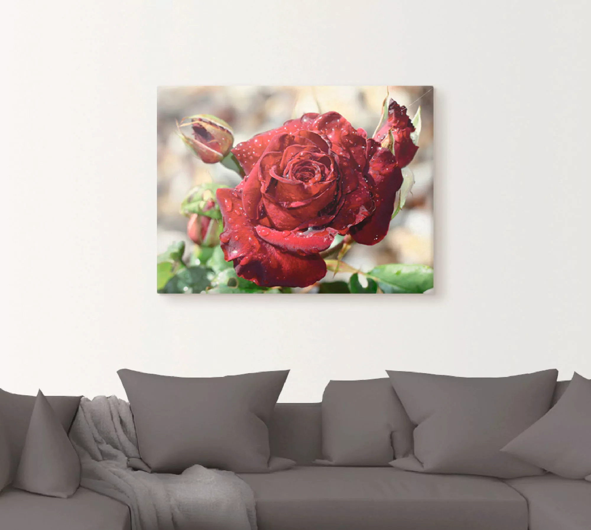Artland Wandbild "Tröpfchenrose", Blumen, (1 St.), als Leinwandbild, Poster günstig online kaufen