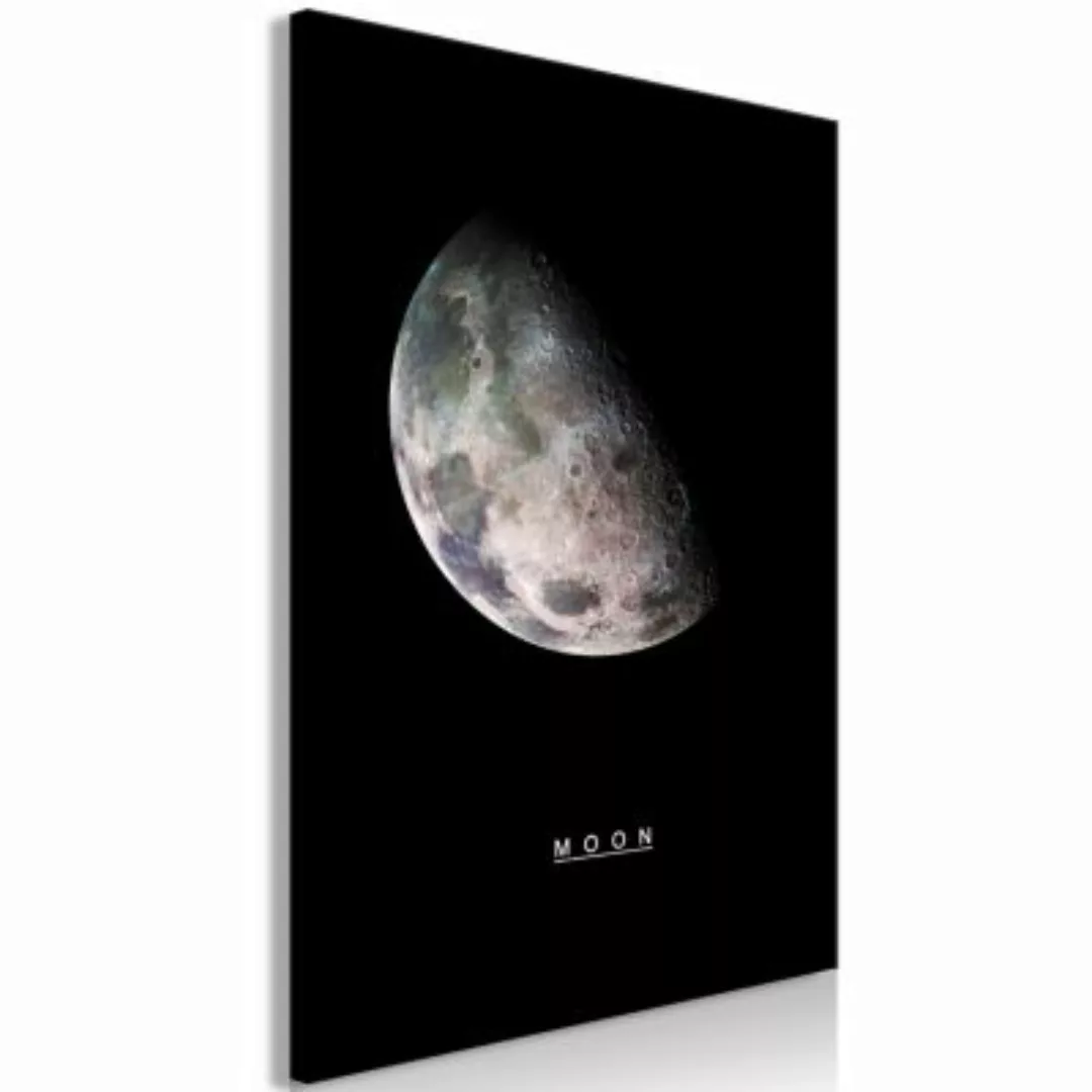 artgeist Wandbild Moon (1 Part) Vertical mehrfarbig Gr. 40 x 60 günstig online kaufen