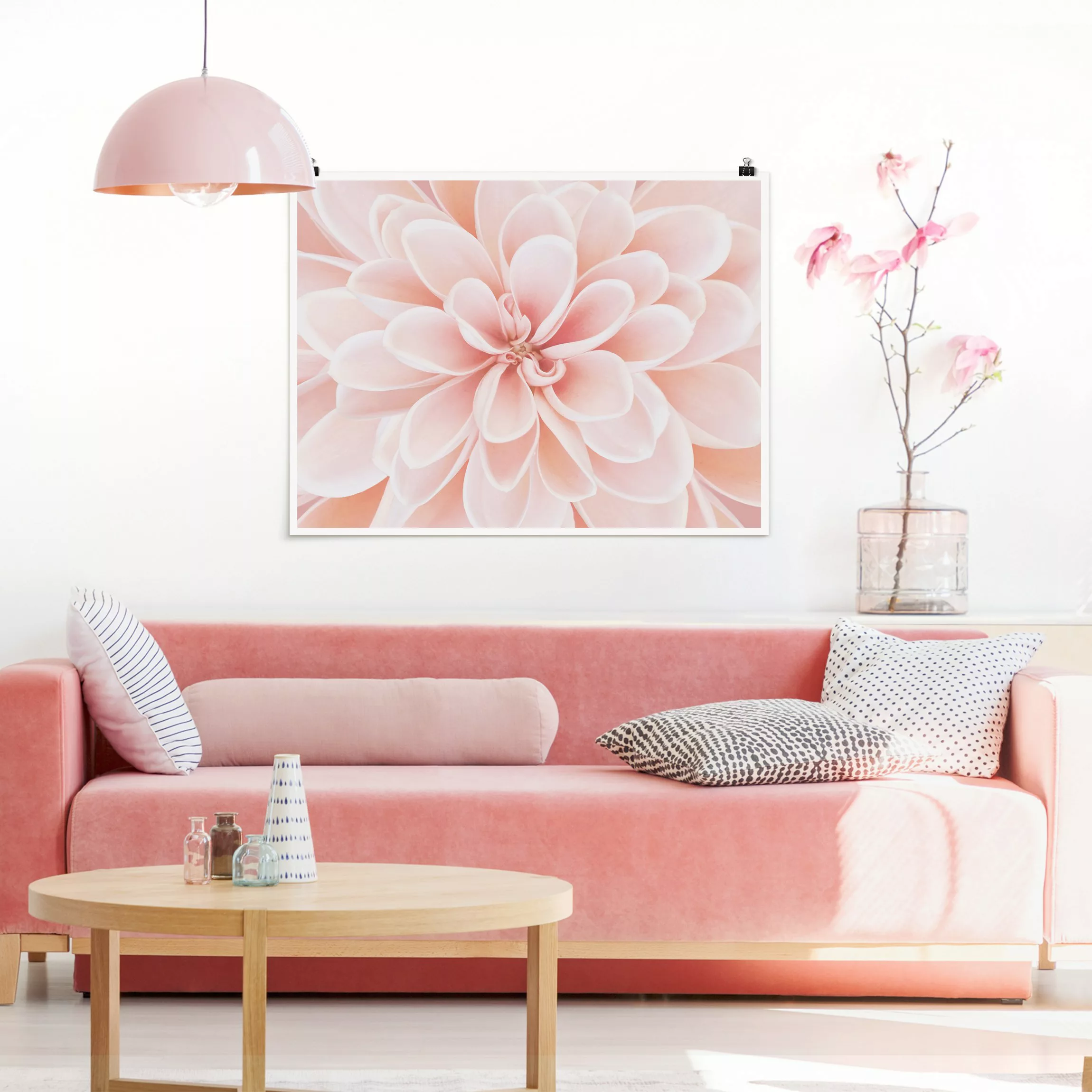 Poster Dahlie in Pastellrosa günstig online kaufen