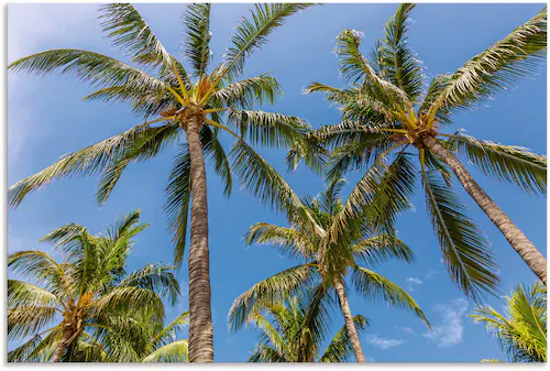 Artland Wandbild "Palmen am Strand", Strandbilder, (1 St.), als Alubild, Ou günstig online kaufen
