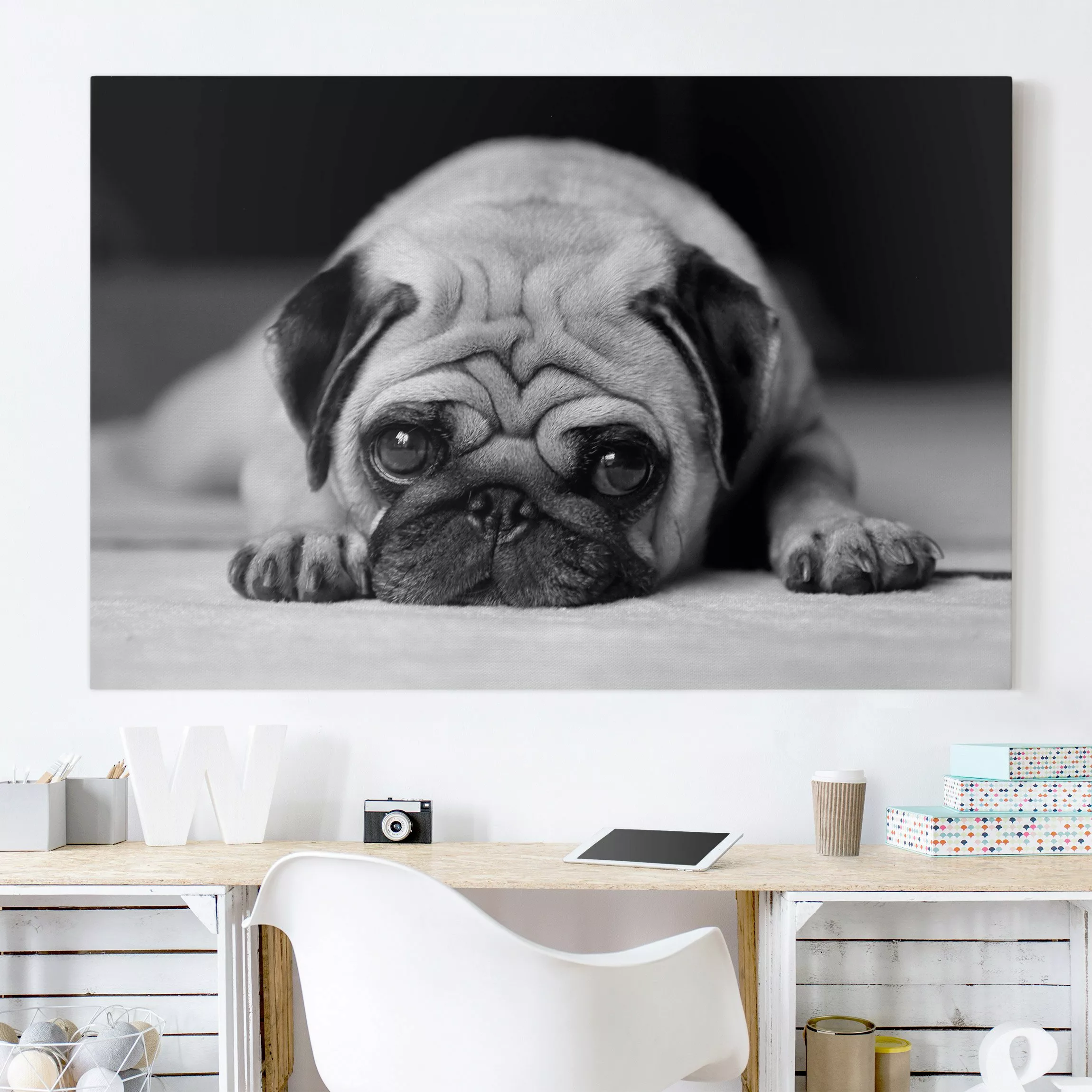 Leinwandbild - Querformat Pug Loves You II günstig online kaufen