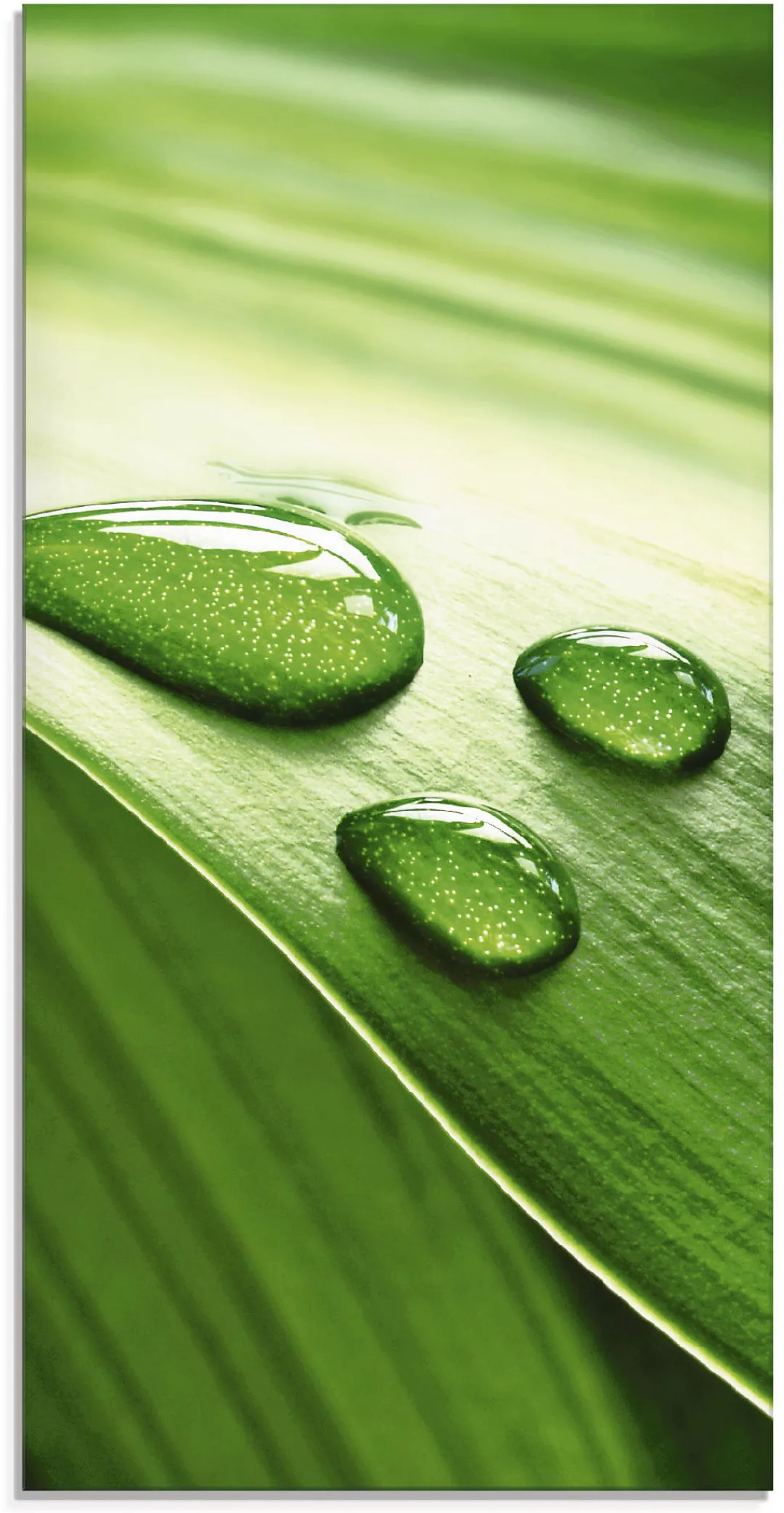 Artland Glasbild »Nahaufnahme eines grünen Pflanzenblattes«, Blätter, (1 St günstig online kaufen