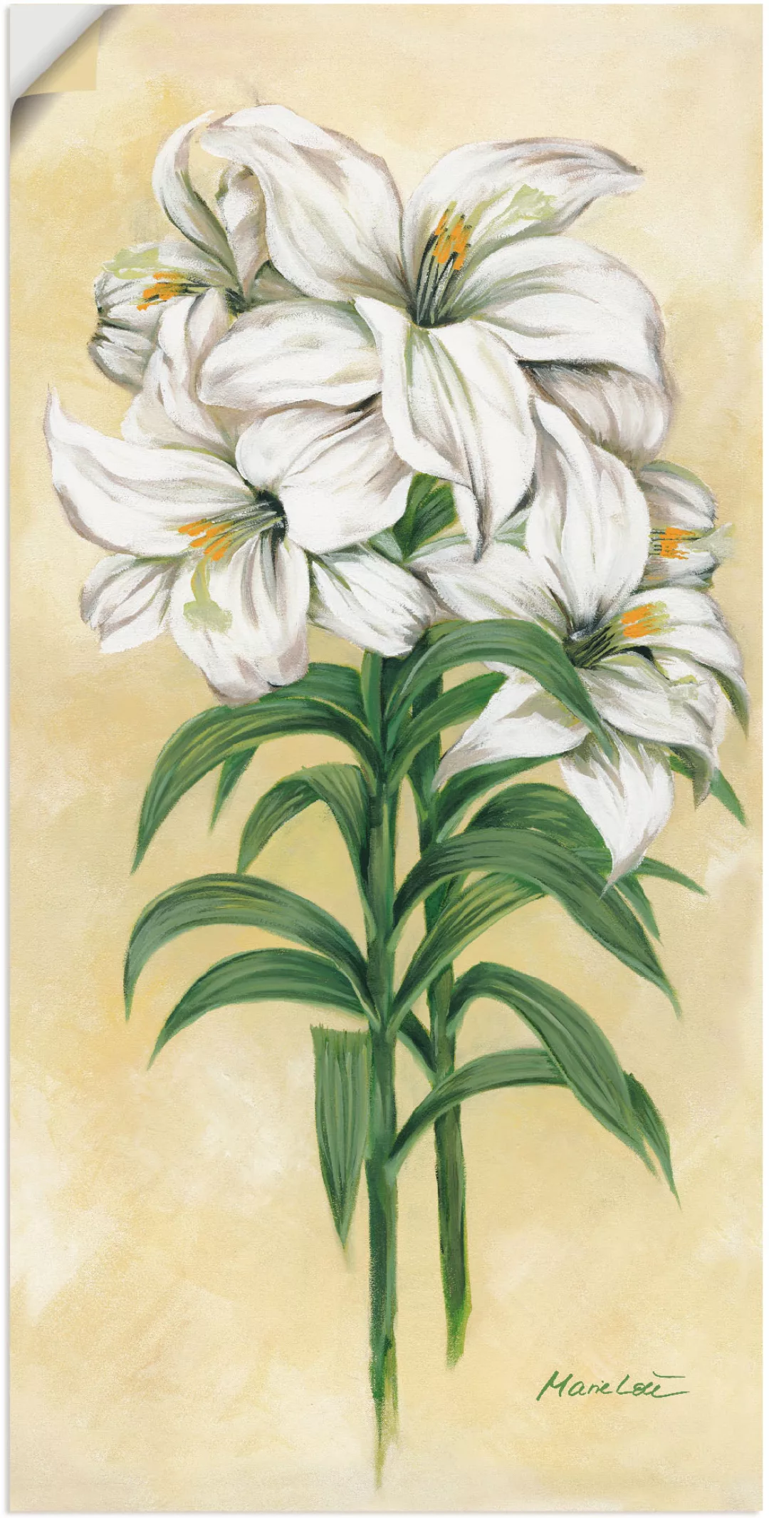 Artland Wandbild "Lilien", Blumen, (1 St.), als Leinwandbild, Wandaufkleber günstig online kaufen