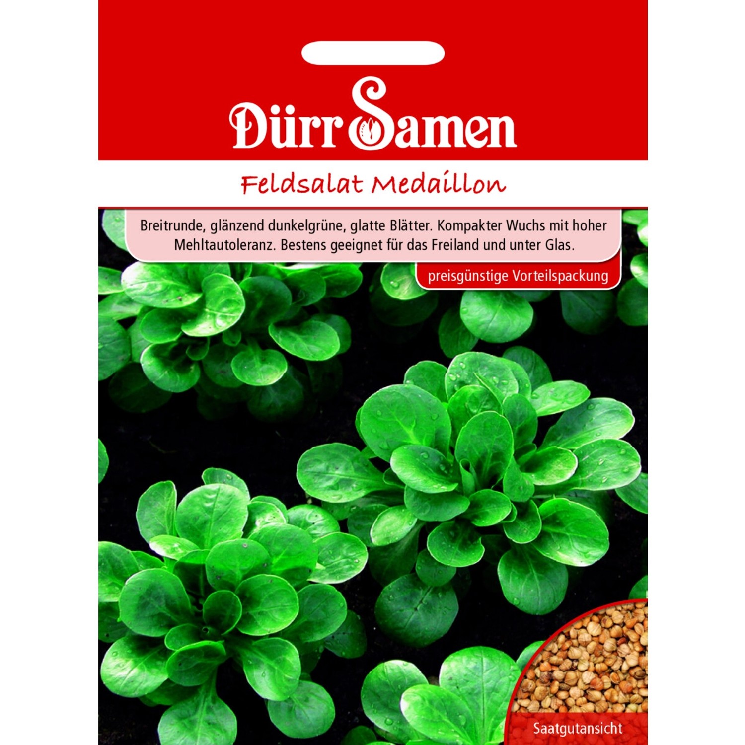 Dürr Samen Feldsalat Medaillon Saatgut günstig online kaufen