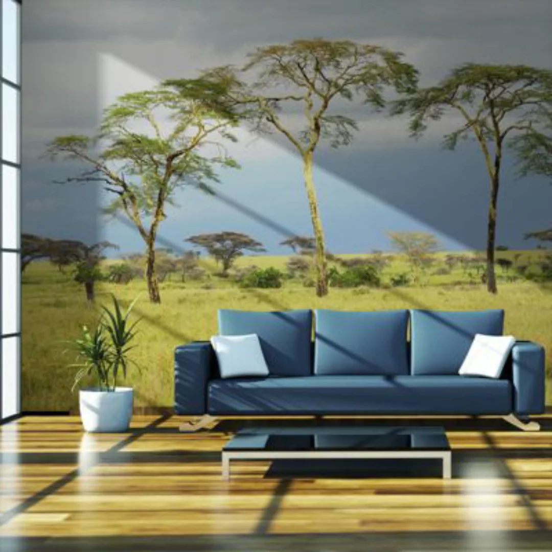 artgeist Fototapete Savanna trees grün/blau Gr. 400 x 309 günstig online kaufen
