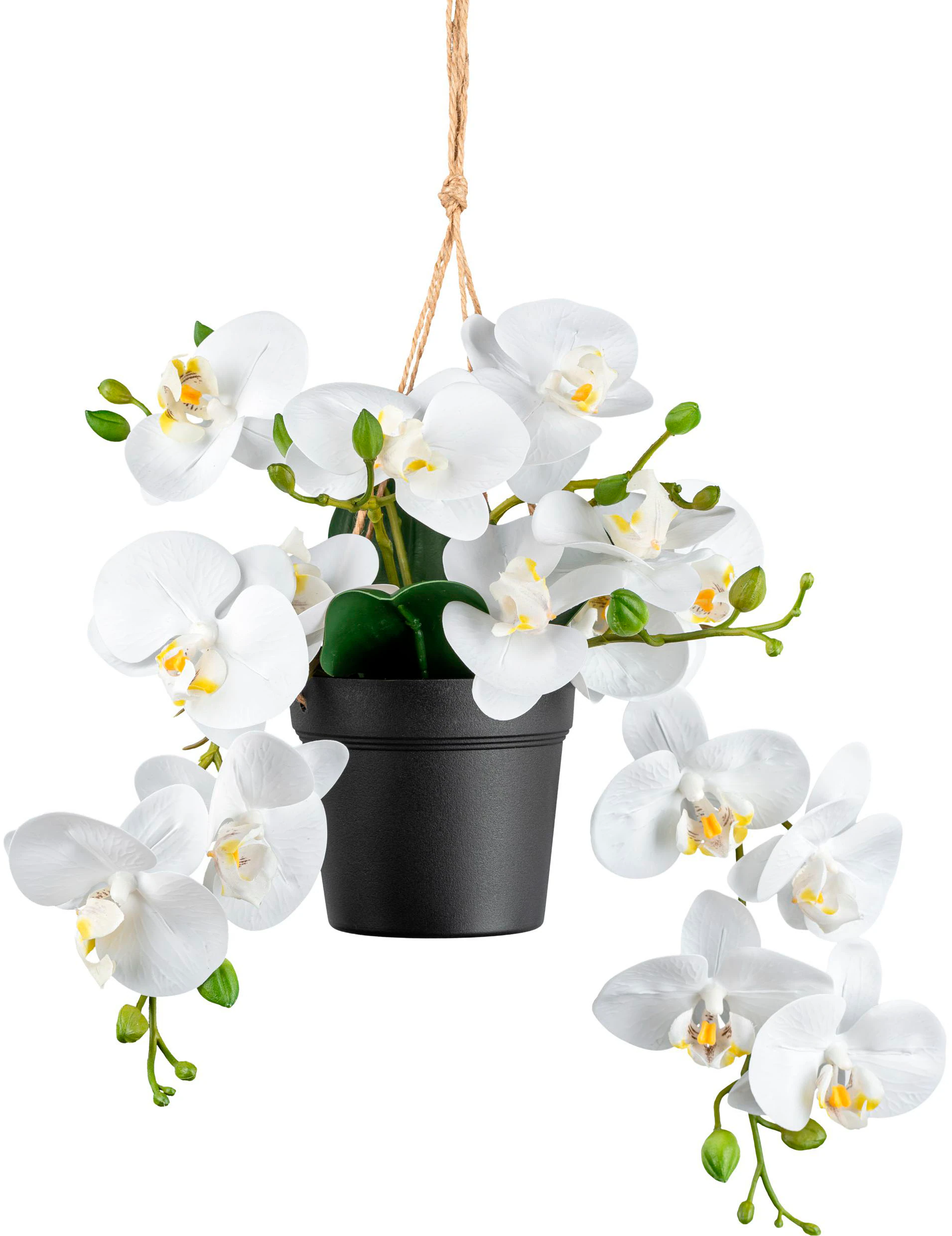 Creativ green Kunstorchidee "Orchidee Phalaenopsis", mit real-touch-Blüten günstig online kaufen