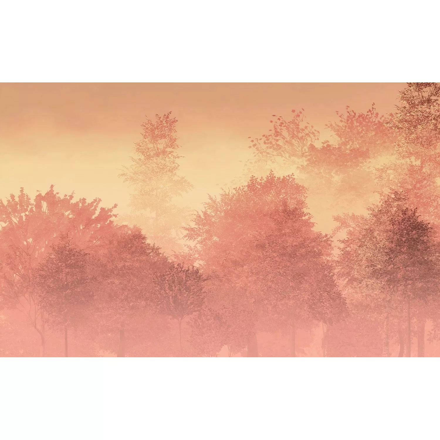 Komar Fototapete Heartwood Pfirsichorange Rosa 400 x 250 cm 611232 günstig online kaufen