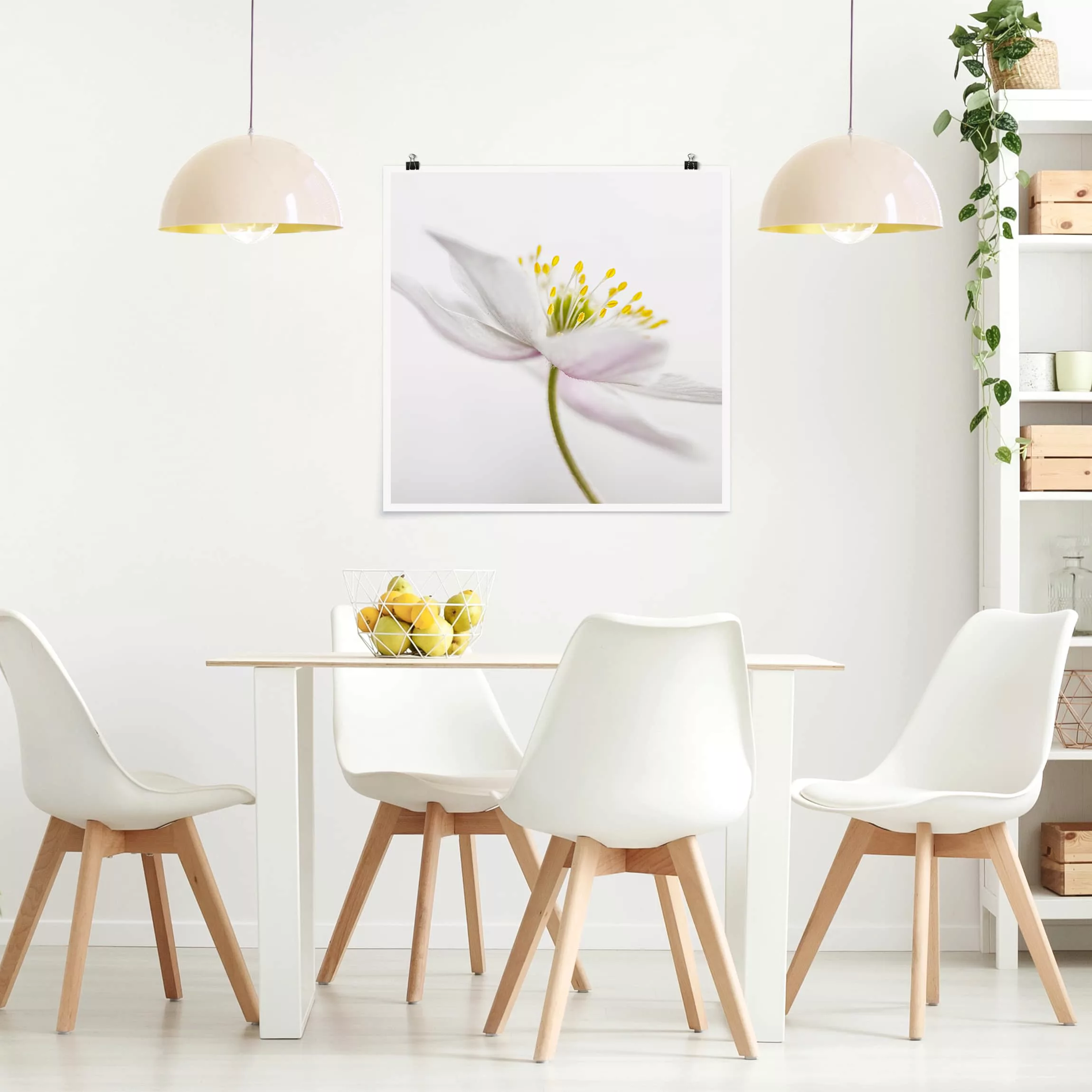 Poster Blumen - Quadrat Nemorosa günstig online kaufen