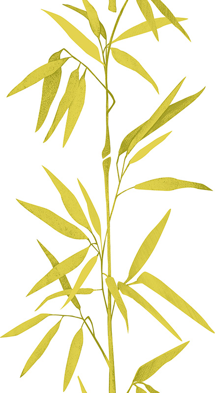Bricoflor Bambus Tapete Weiß Grün Gold Asiatische Vinyltapete als Tapetenpa günstig online kaufen