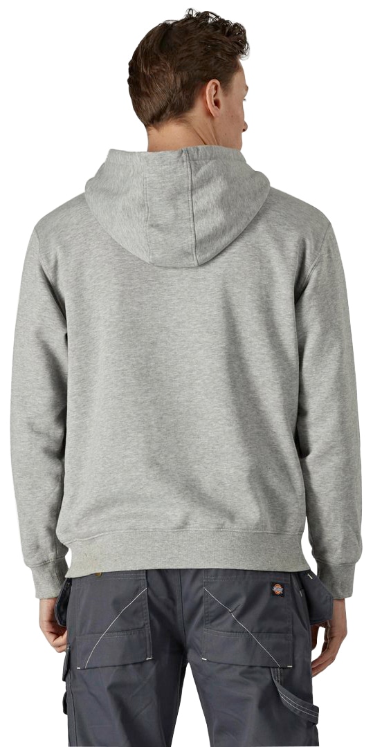 Dickies Kapuzensweatshirt "Stowe-Graphic-Hoddie" günstig online kaufen