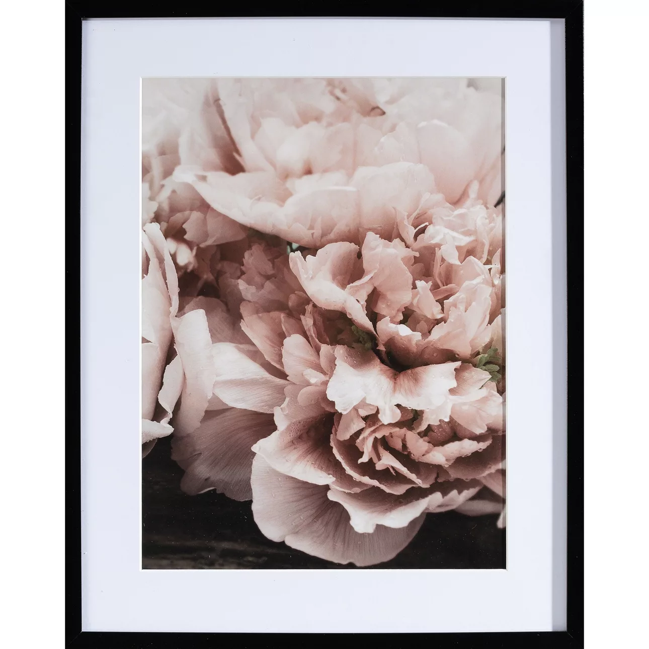 Wandbild Peony Sunset I 40x50cm, 40x50cm günstig online kaufen