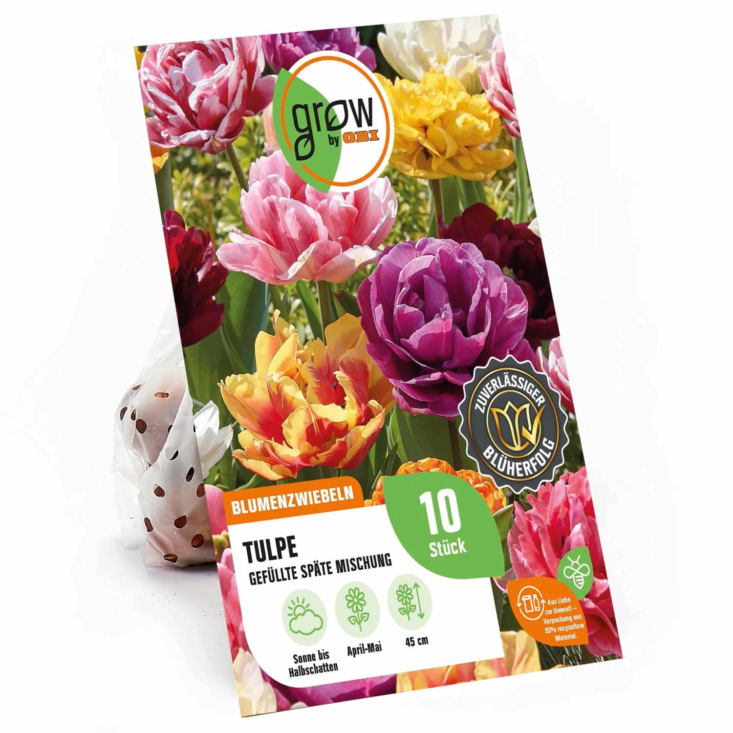 GROW by OBI Pfingstrosen-Tulpen Mischung 45 cm Tulipa günstig online kaufen