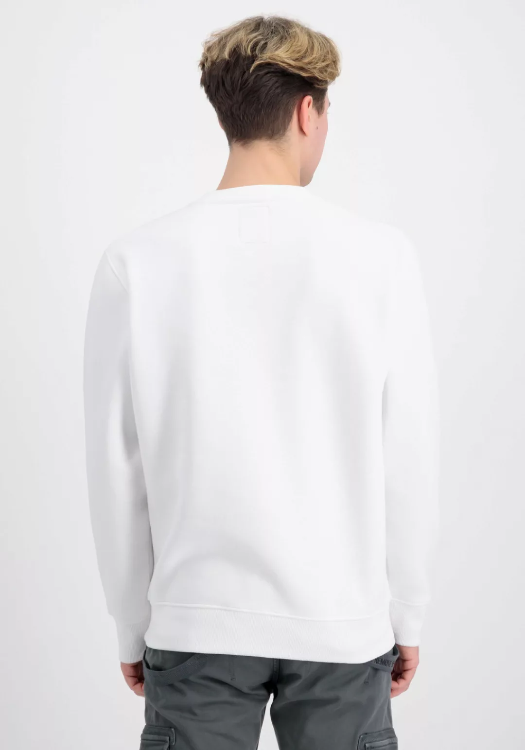 Alpha Industries Sweater "Basic Sweatshirt Rubber ML Sweatshirt" günstig online kaufen
