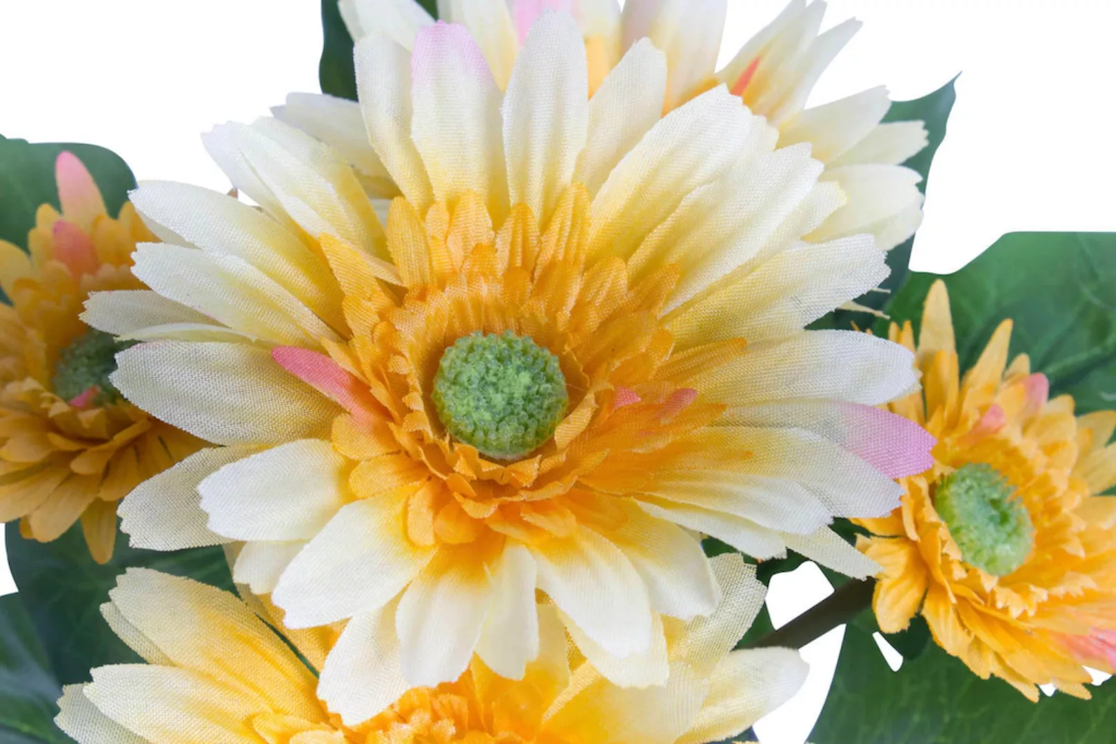 Botanic-Haus Kunstblume "Gerbera mit 5 Blüten" günstig online kaufen