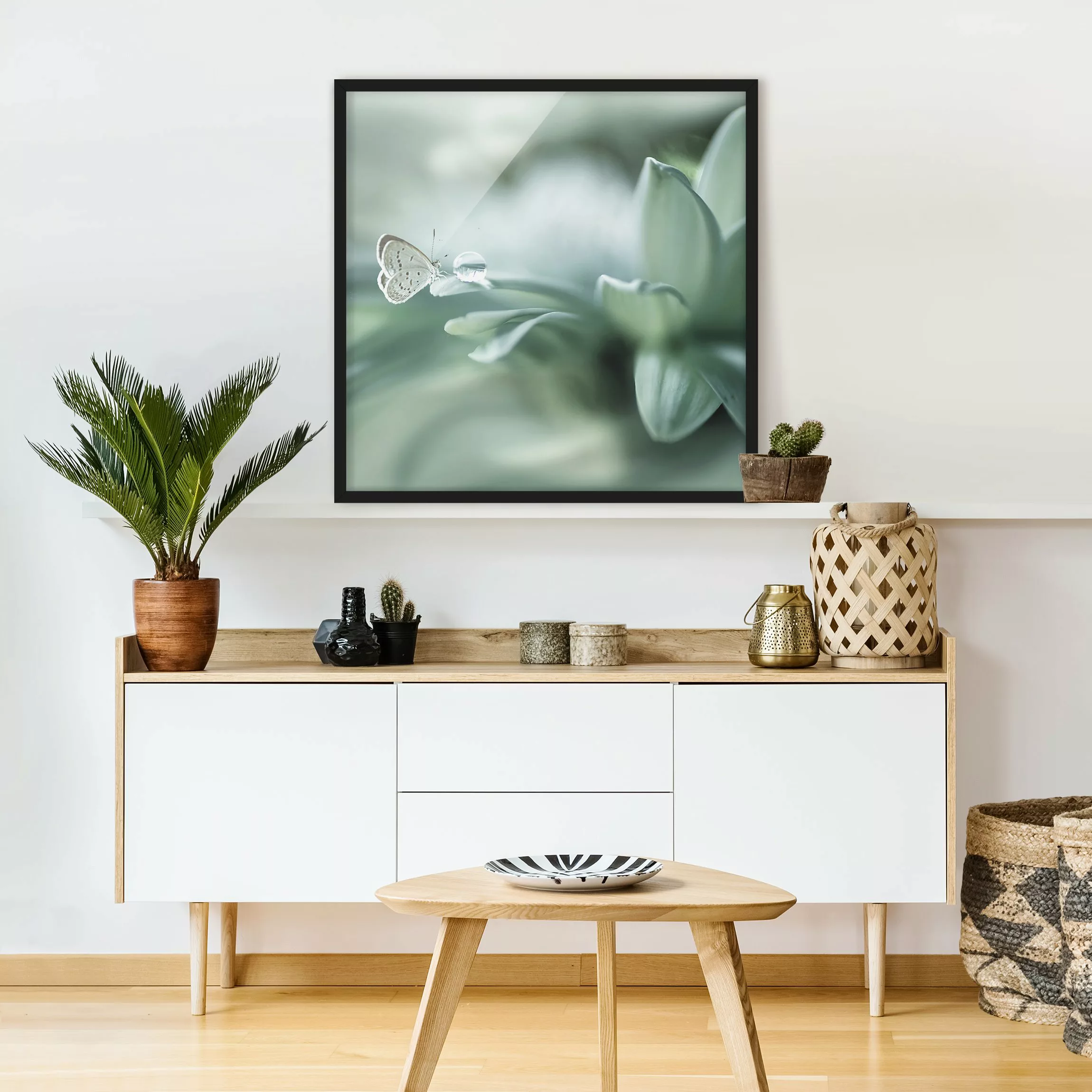 Bild mit Rahmen Tiere - Quadrat Schmetterling und Tautropfen in Pastellgrün günstig online kaufen