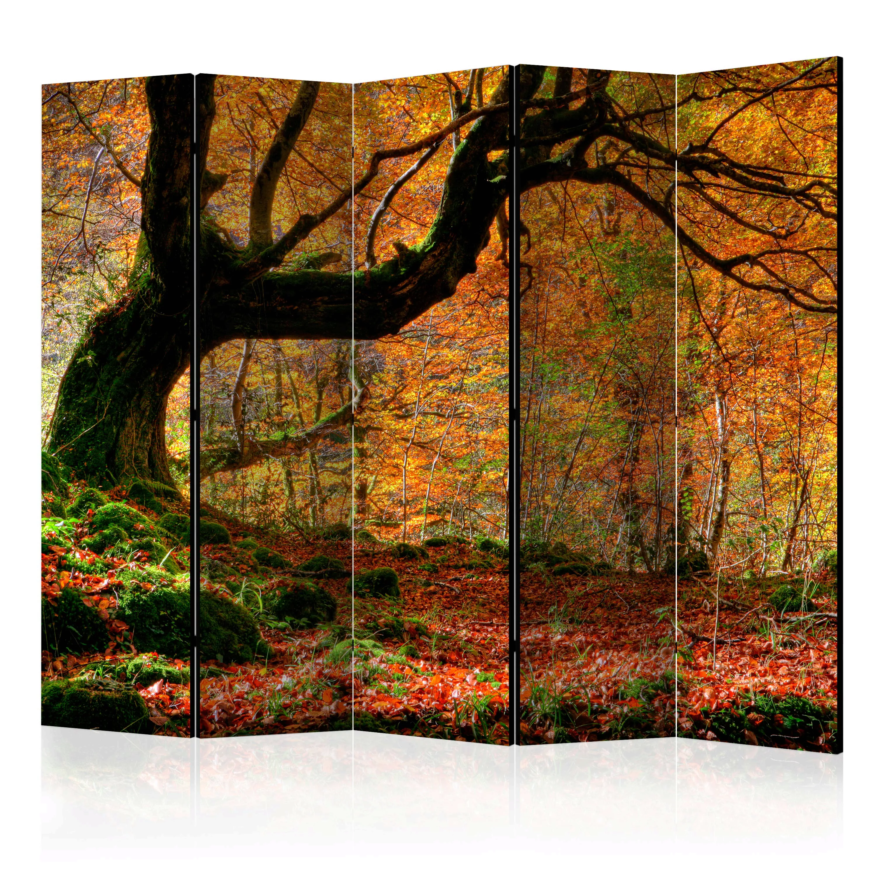 5-teiliges Paravent - Autumn, Forest And Leaves Ii [room Dividers] günstig online kaufen