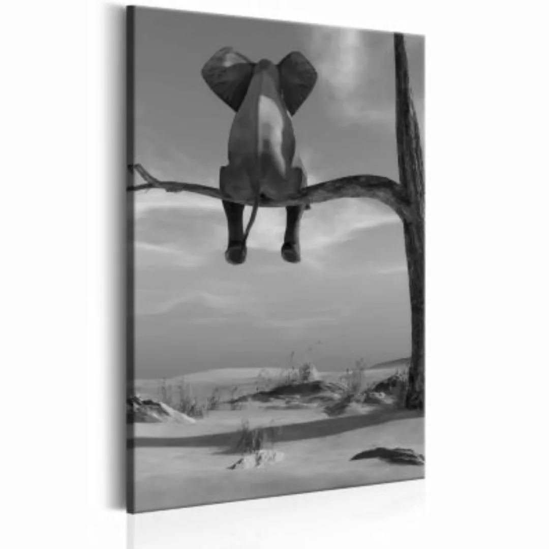 artgeist Wandbild Resting Elephant schwarz/weiß Gr. 40 x 60 günstig online kaufen