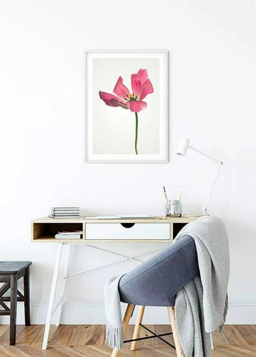 Komar Poster "Tulip", Blumen, (1 St.), Kinderzimmer, Schlafzimmer, Wohnzimm günstig online kaufen