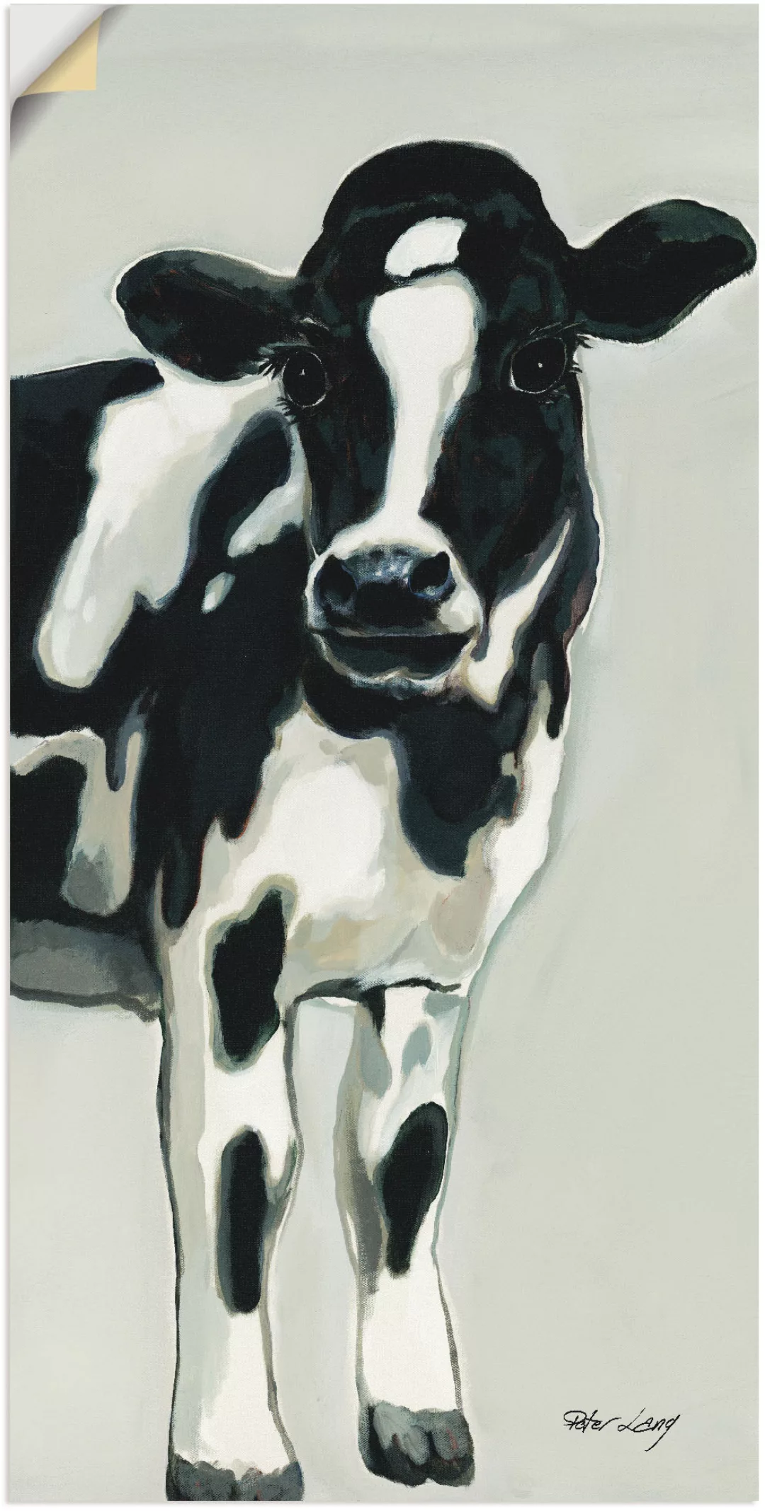 Artland Wandbild "Kuh", Haustiere, (1 St.) günstig online kaufen