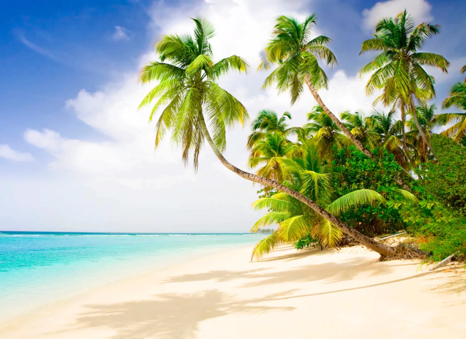 Papermoon Fototapete »Beach in the South Seas« günstig online kaufen