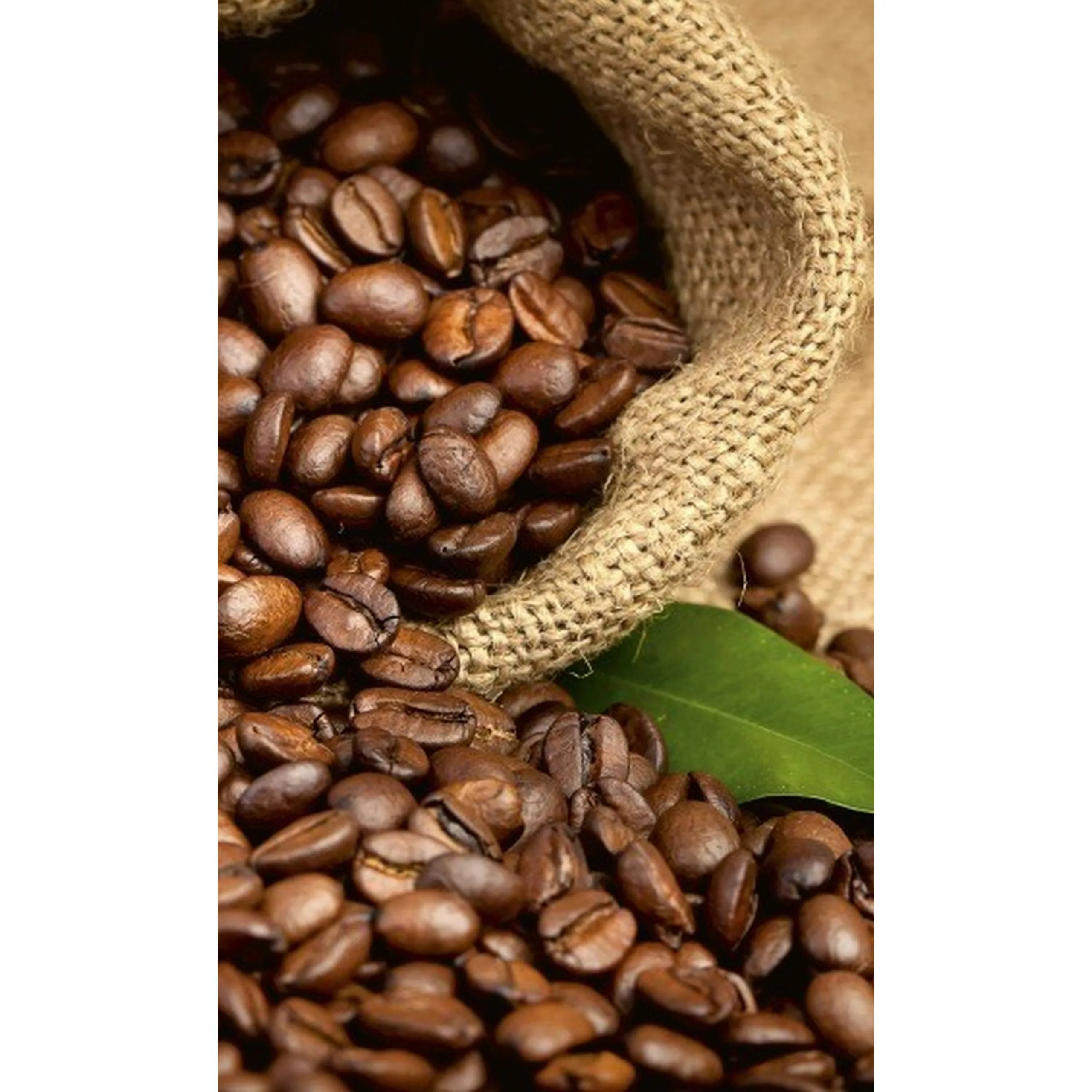 Fototapete COFFEE BEANS | MS-2-0244 | Braun | Digitaldruck auf Vliesträger günstig online kaufen