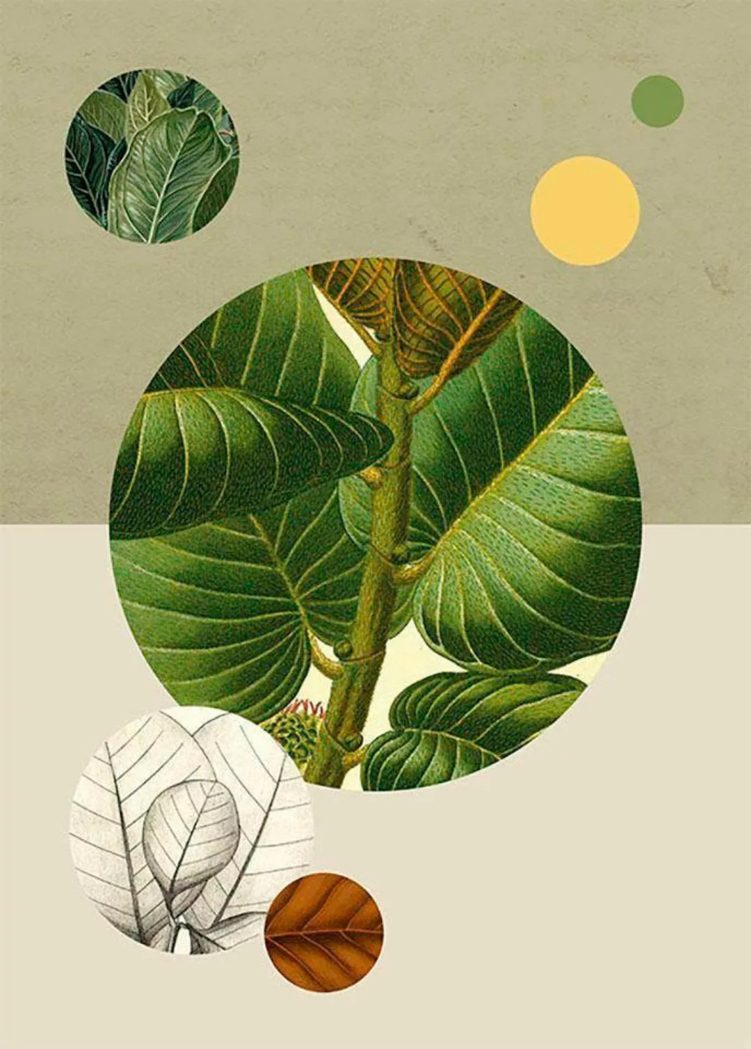 Komar Poster »Green Structure«, Pflanzen-Blätter, (1 St.), Kinderzimmer, Sc günstig online kaufen