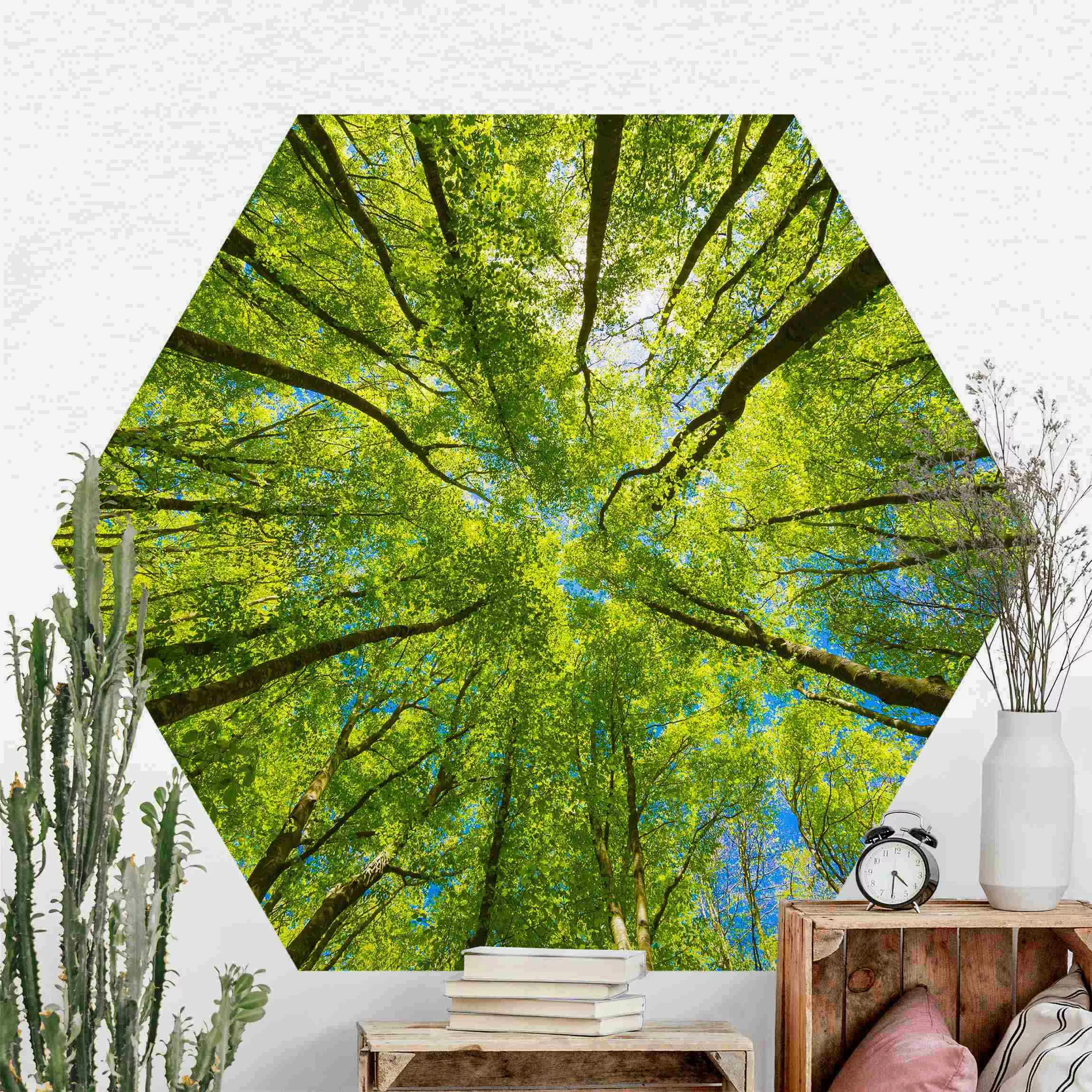 Hexagon Mustertapete selbstklebend Grüne Baumkronen im Himmel günstig online kaufen