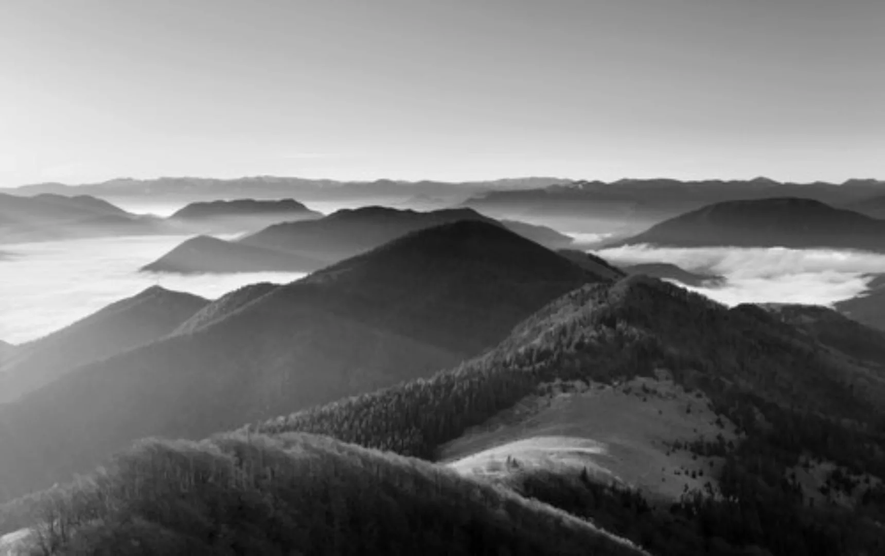 Papermoon Fototapete »Landschaft Schwarz & Weiß« günstig online kaufen