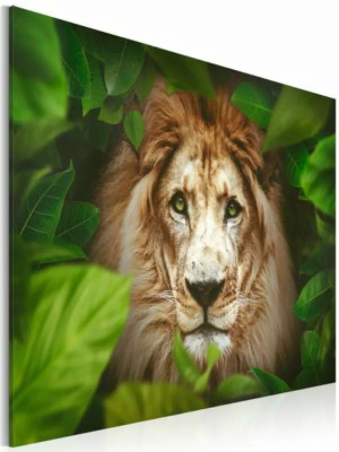 artgeist Wandbild Eyes of the jungle grün Gr. 60 x 40 günstig online kaufen