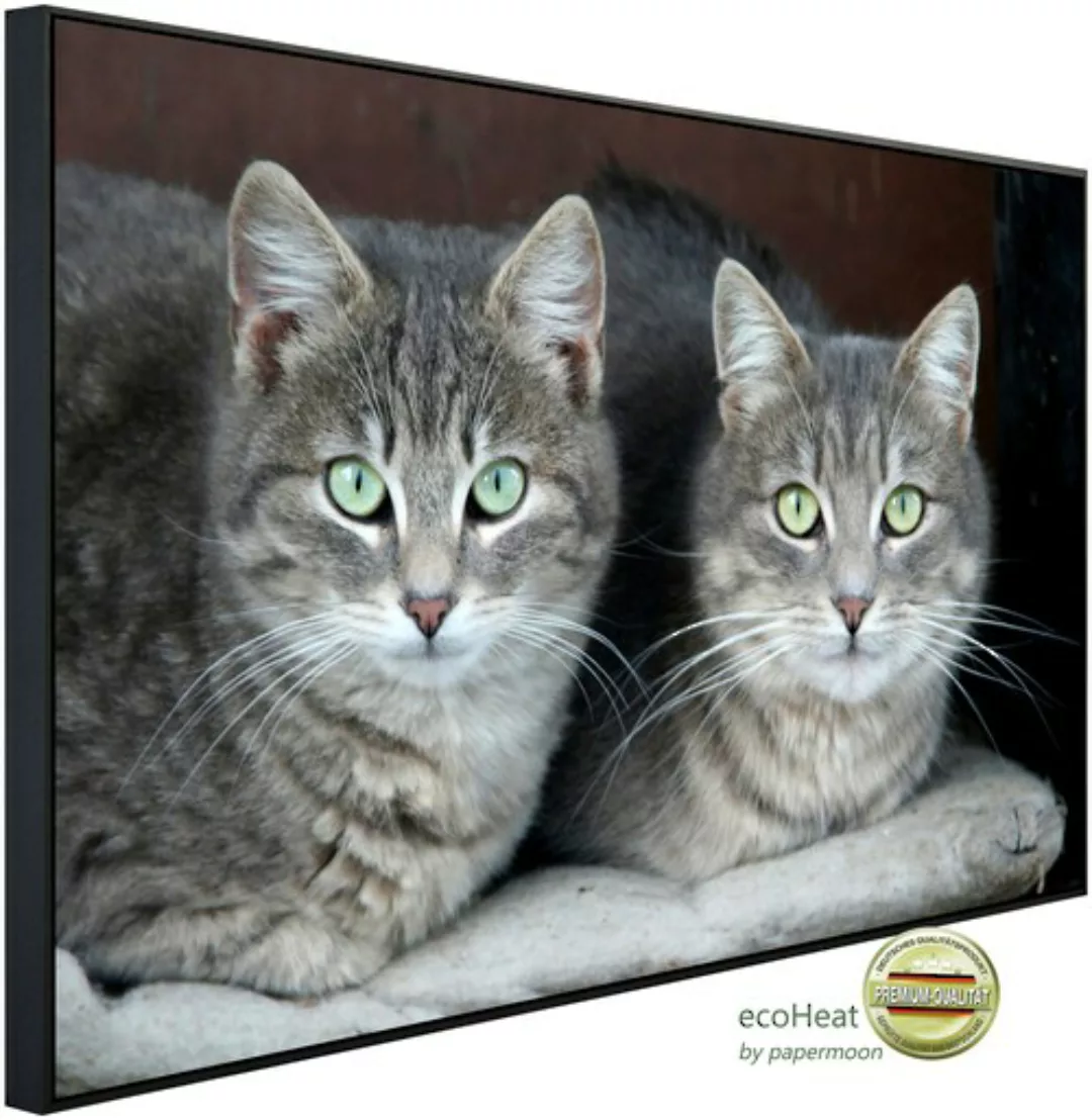 Papermoon Infrarotheizung »Grüne Augen Katzen« günstig online kaufen
