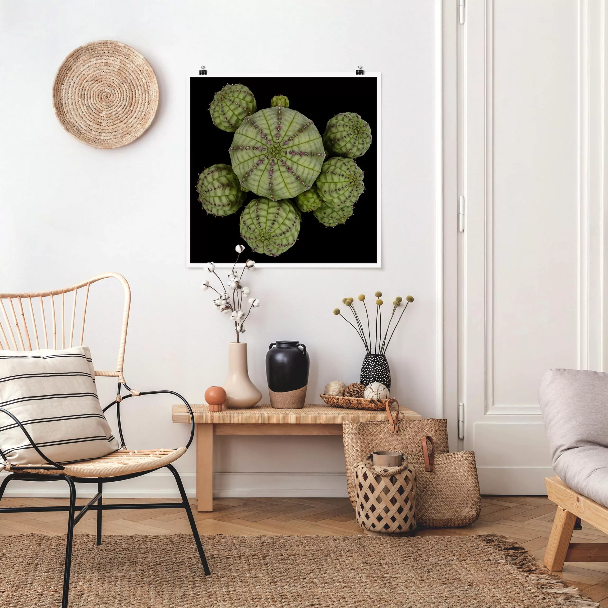 Poster Blumen - Quadrat Euphorbia - Seeigelwolfsmilch günstig online kaufen