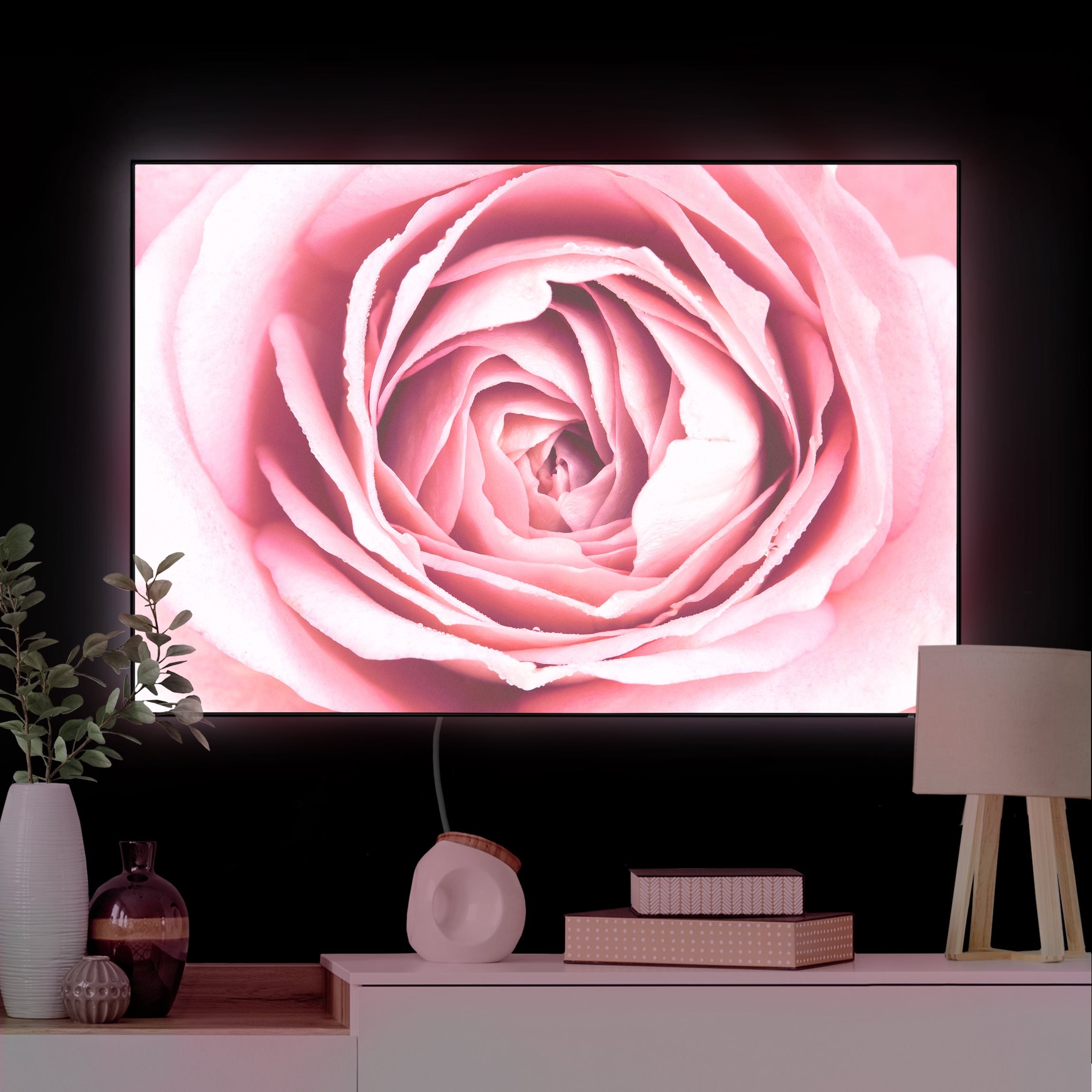 LED-Wechselbild Rosa Rosenblüte günstig online kaufen