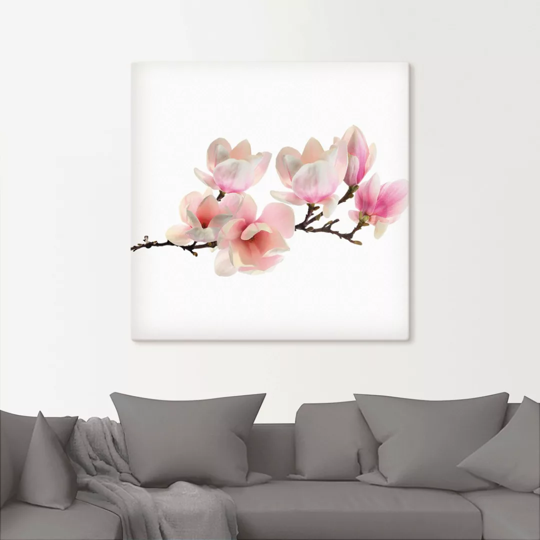 Artland Wandbild "Magnolie", Blumen, (1 St.), als Leinwandbild, Poster, Wan günstig online kaufen