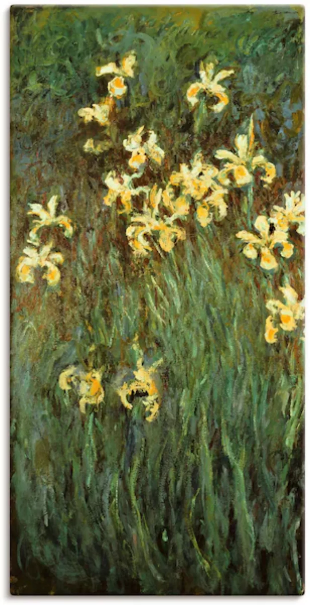 Artland Leinwandbild "Gelbe Iris.", Blumenwiese, (1 St.), auf Keilrahmen ge günstig online kaufen
