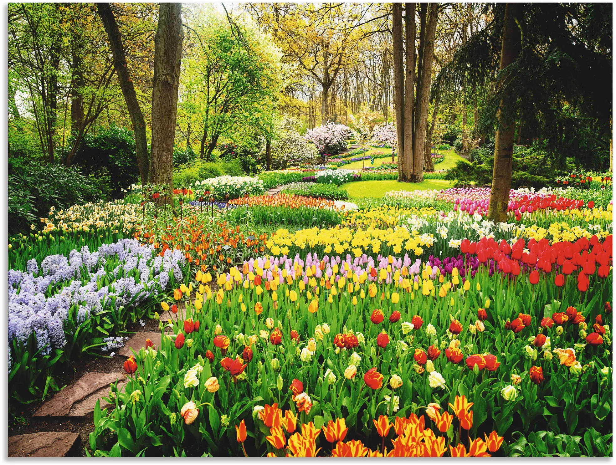 Artland Wandbild »Tulpen Garten Frühling«, Blumenwiese, (1 St.), als Alubil günstig online kaufen