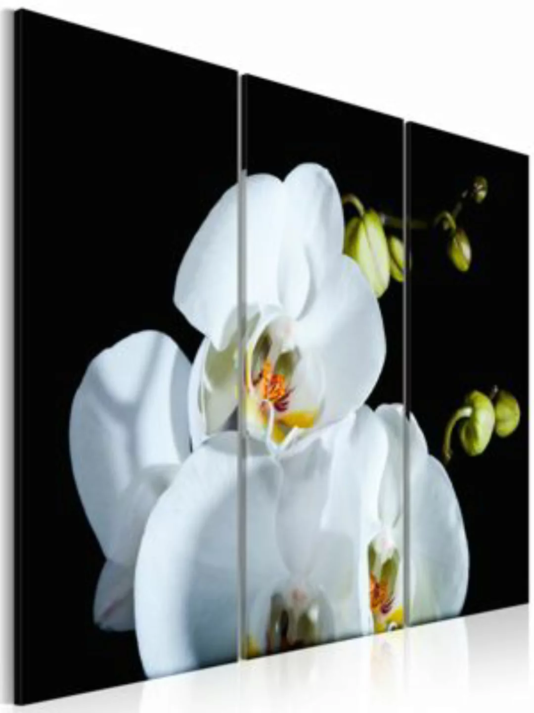 artgeist Wandbild Schneeweiße Orchidee mehrfarbig Gr. 60 x 40 günstig online kaufen