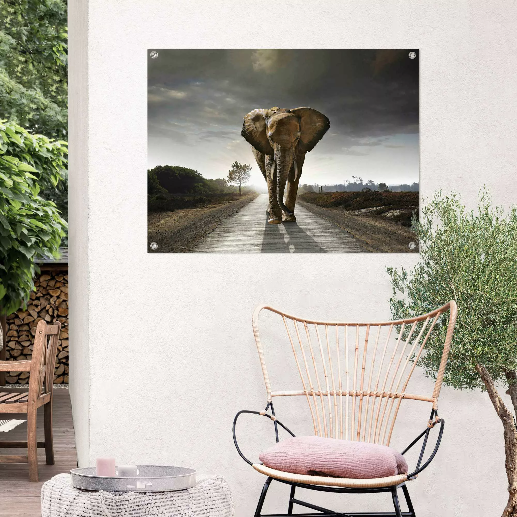 Reinders! Poster »Elefantenkönig«, Outdoor für Garten oder Balkon günstig online kaufen