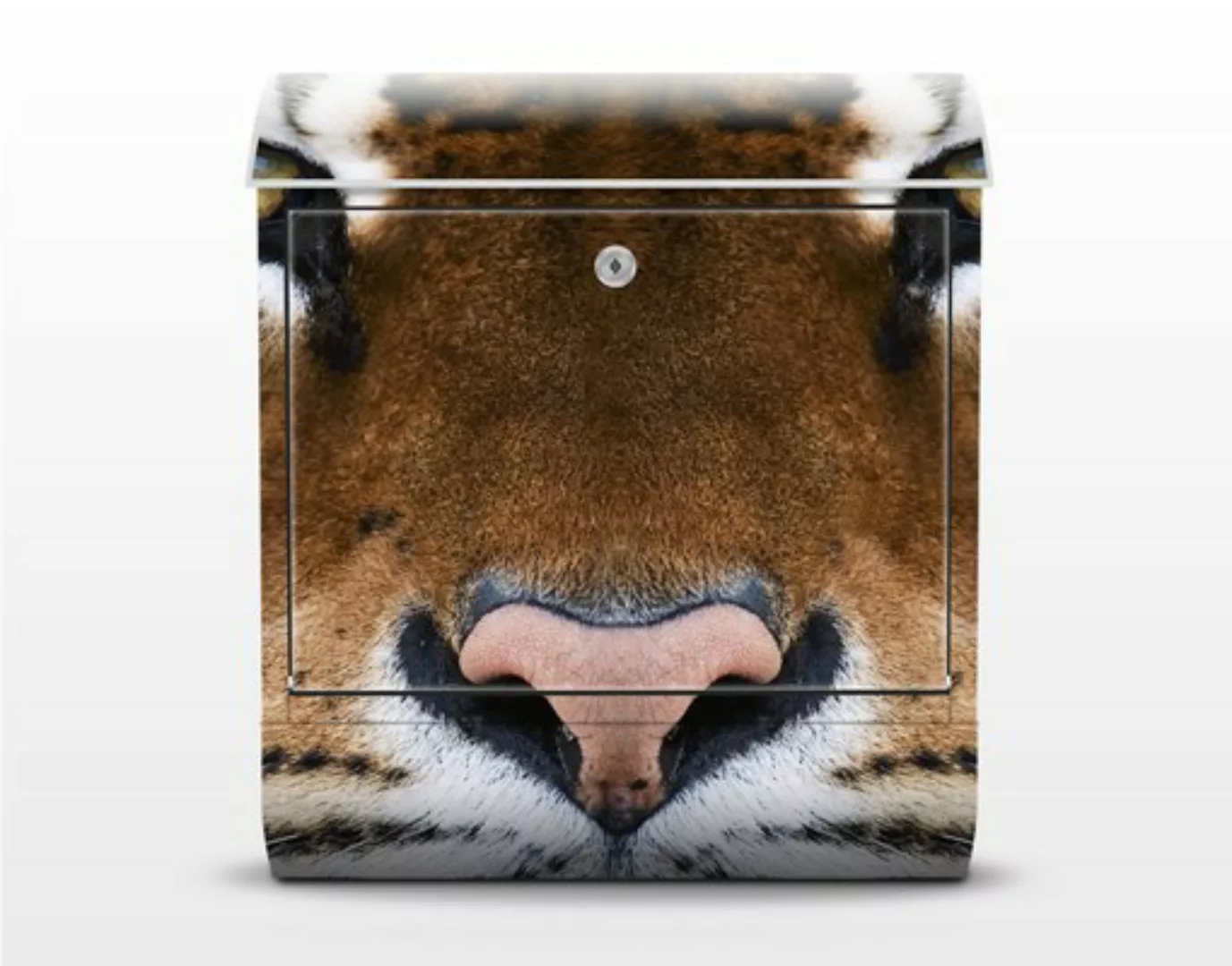 Briefkasten Tiere Tiger Eyes günstig online kaufen